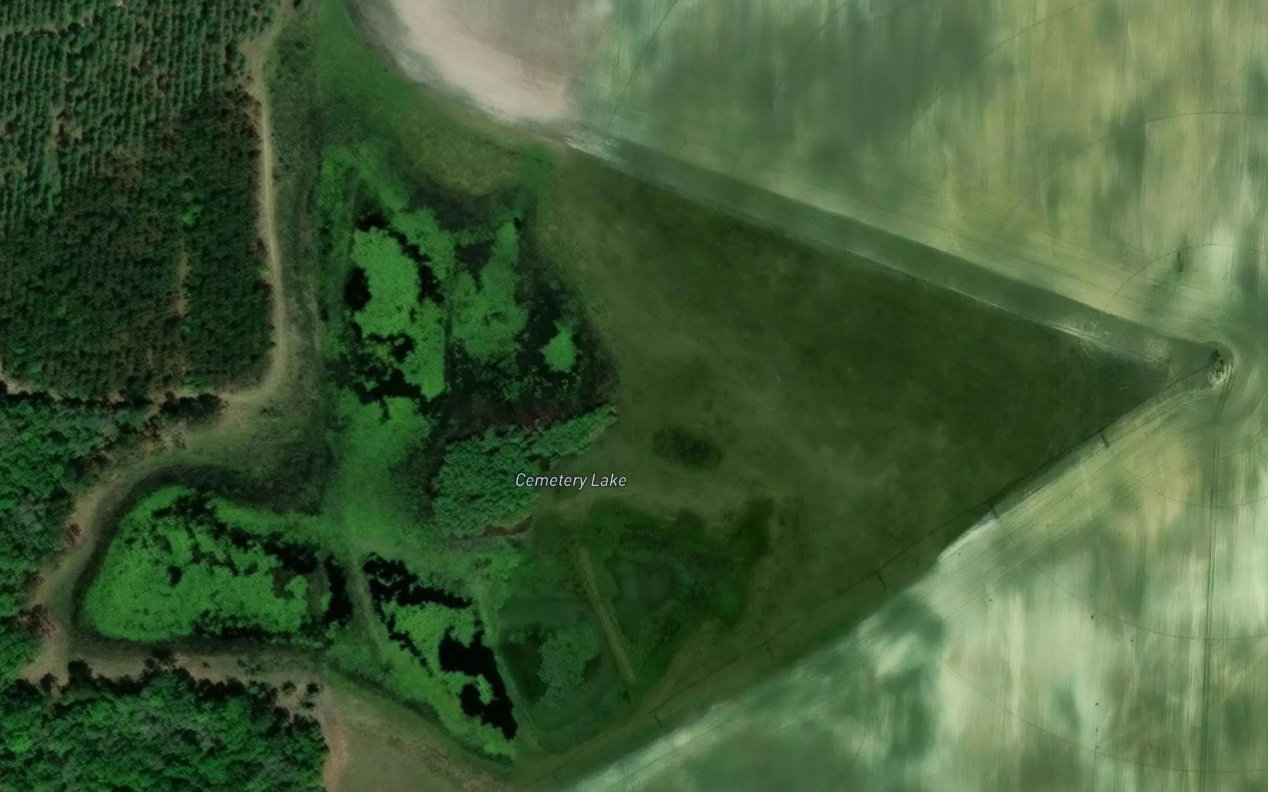 Satellite map of the Cemetery Lake