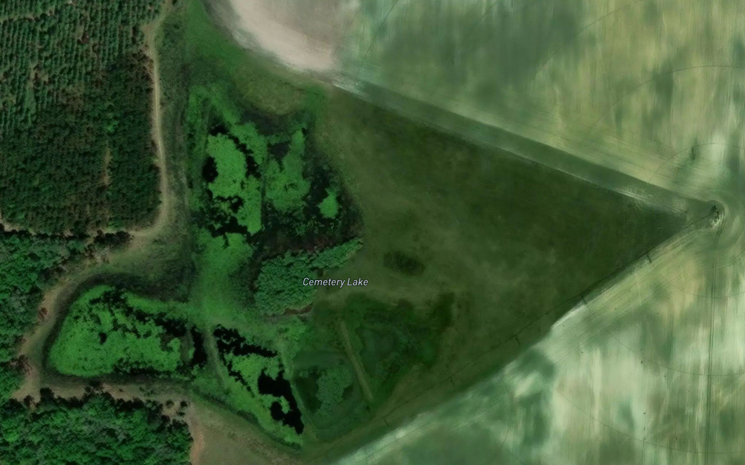 Cemetery Lake