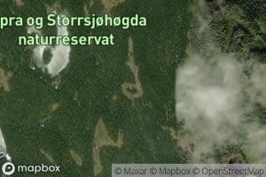 Skomakarputten