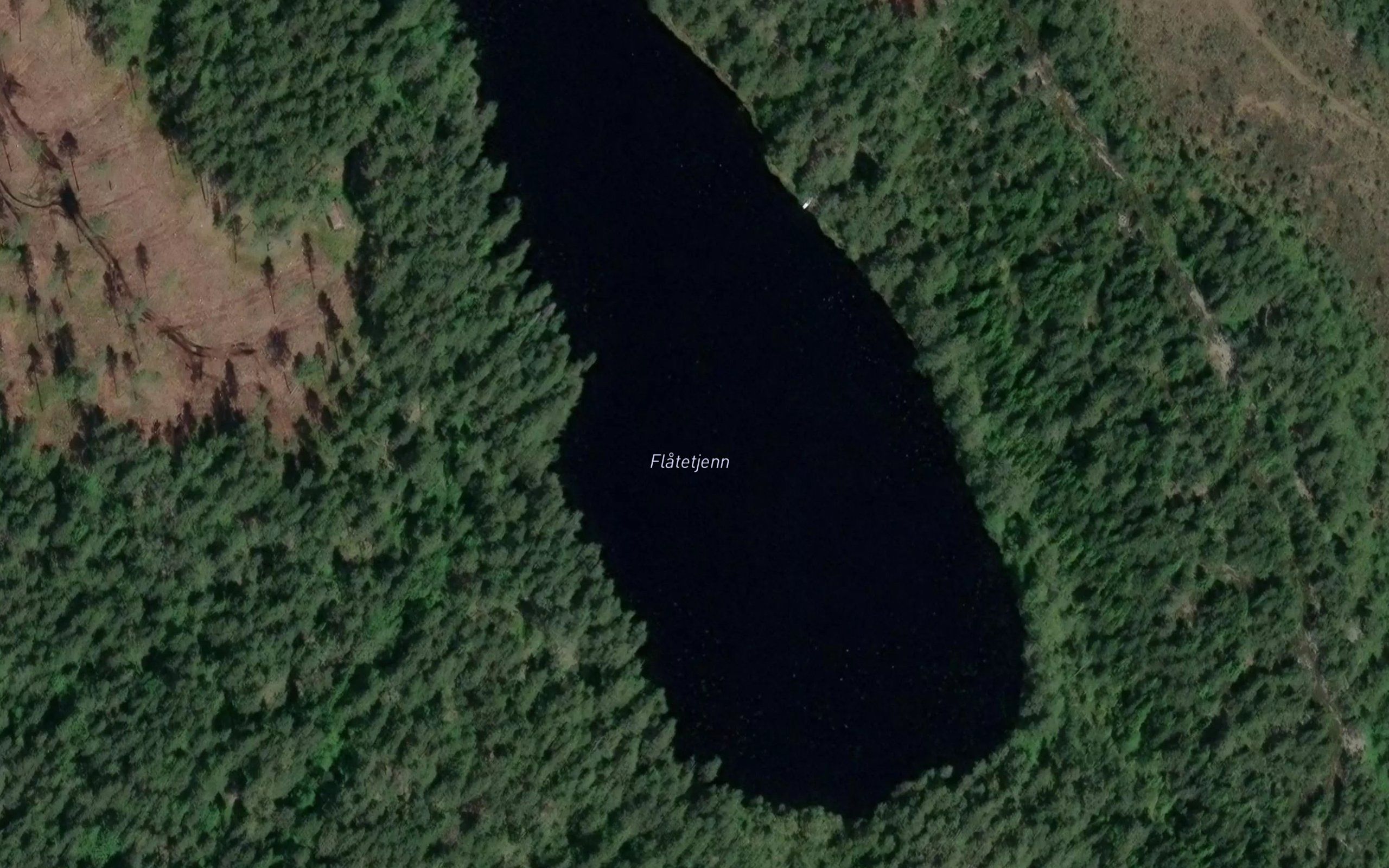 Flatetjern
