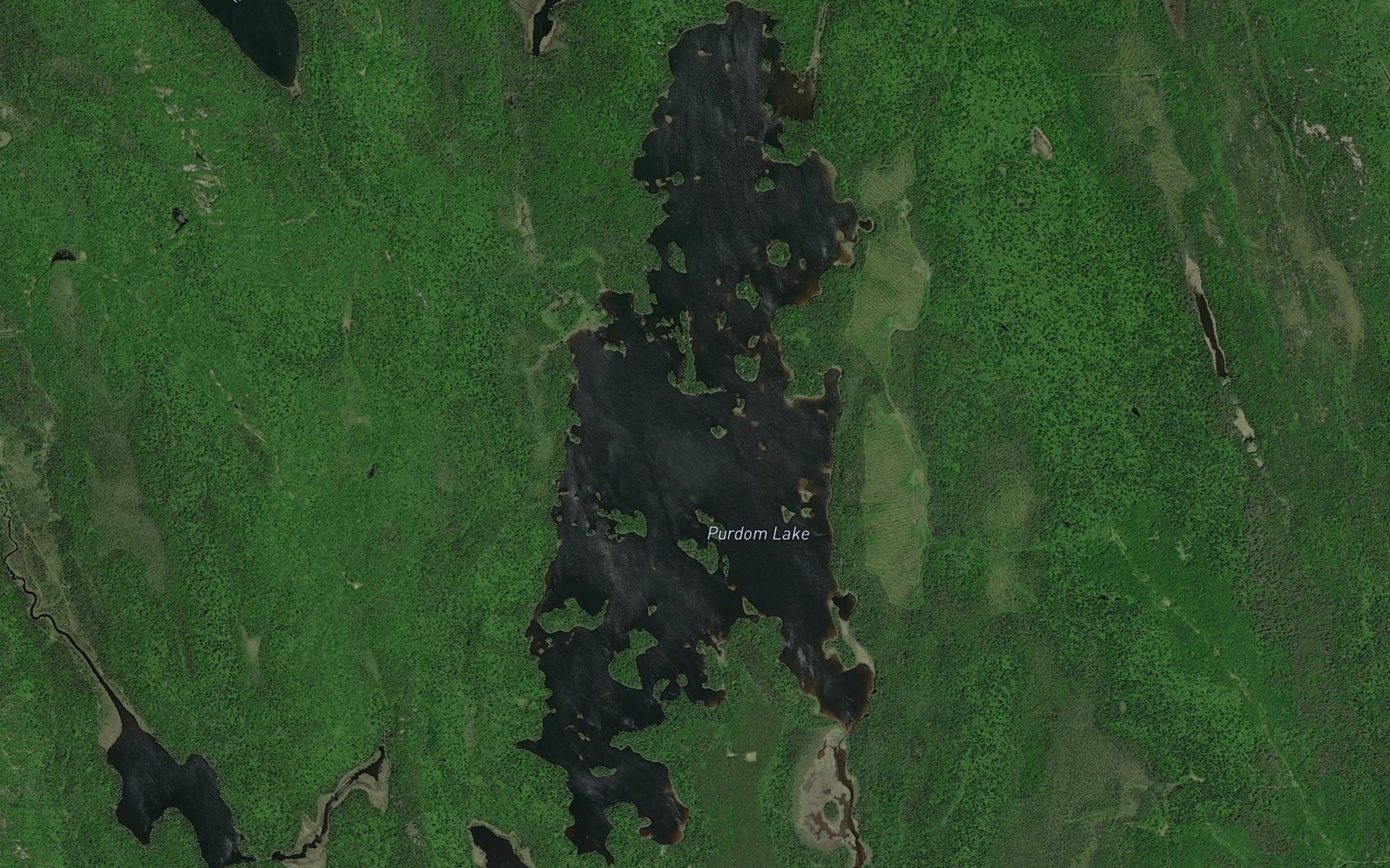 Satellite map of the Purdom Lake