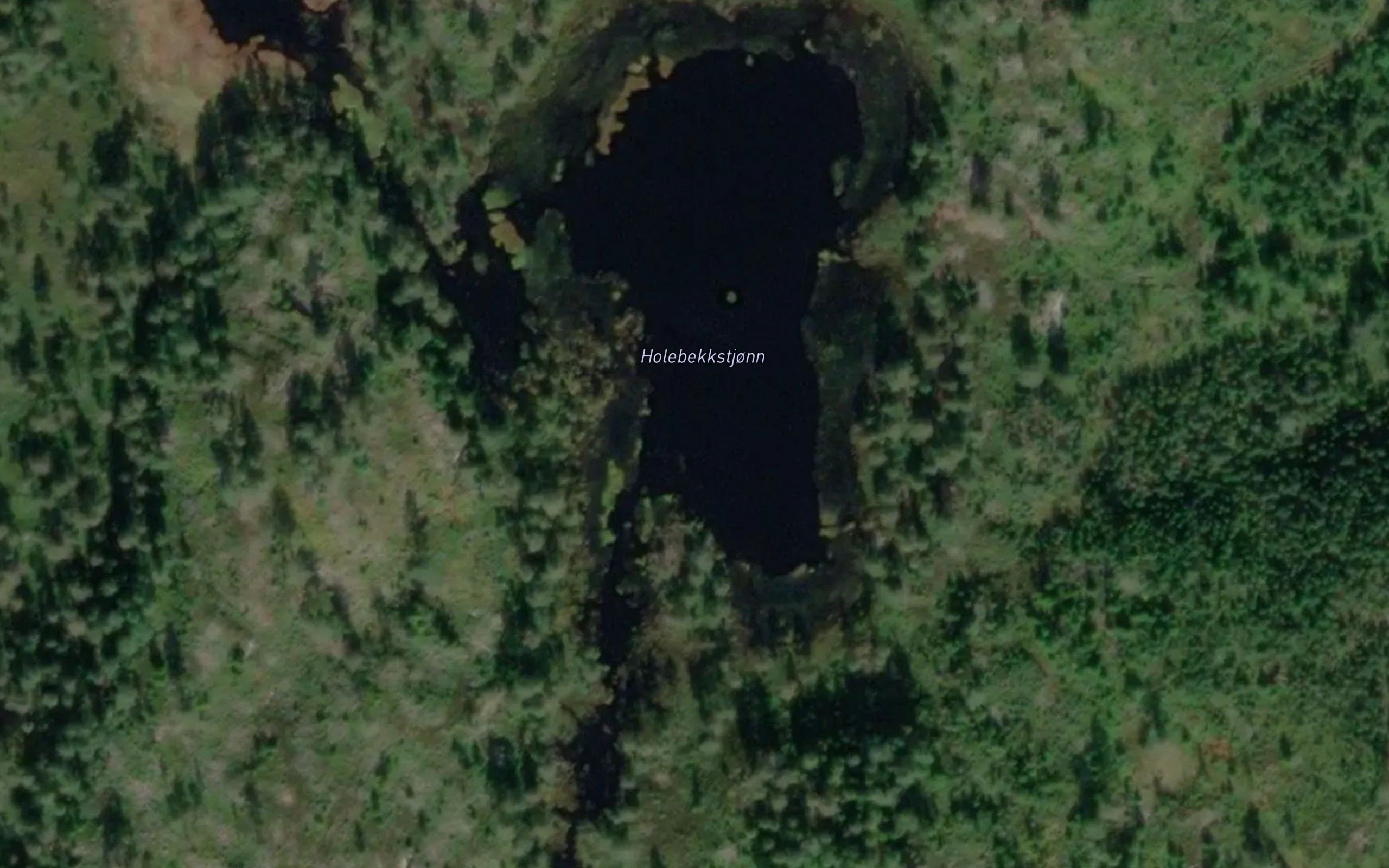 Holebekkstjonn
