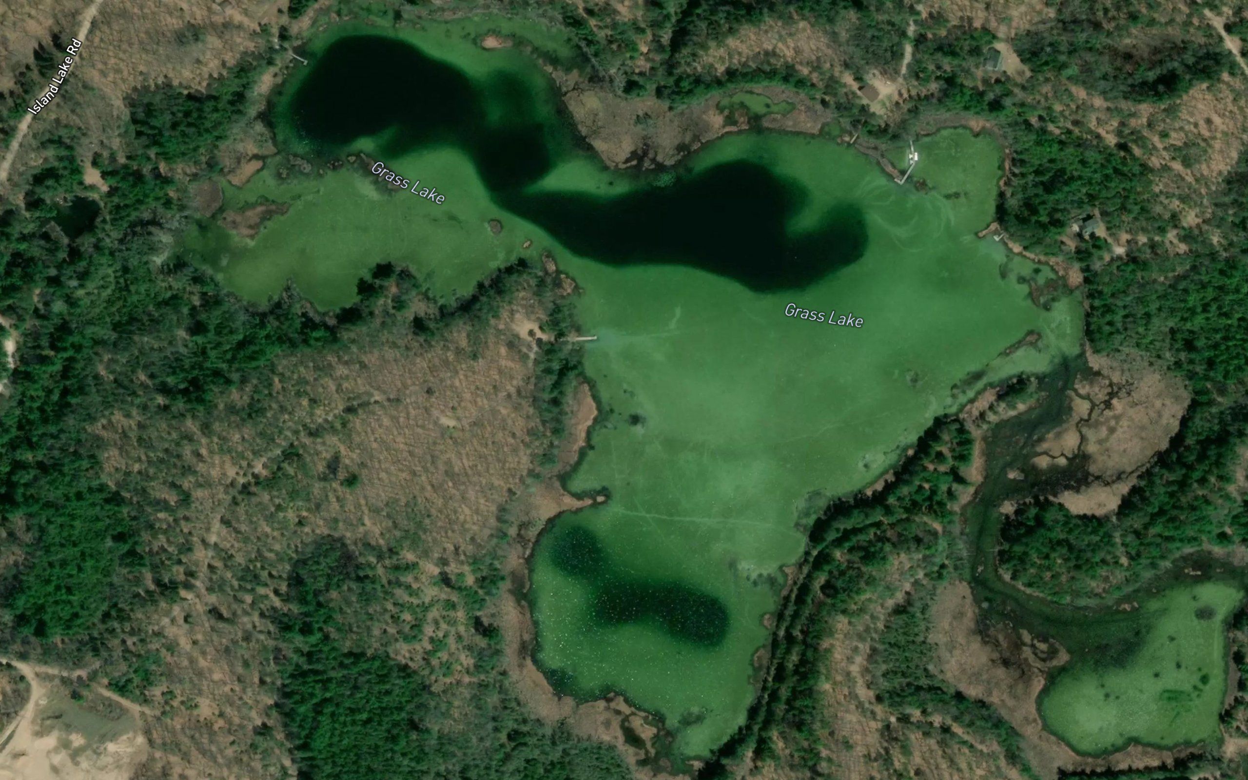 Grass Lake