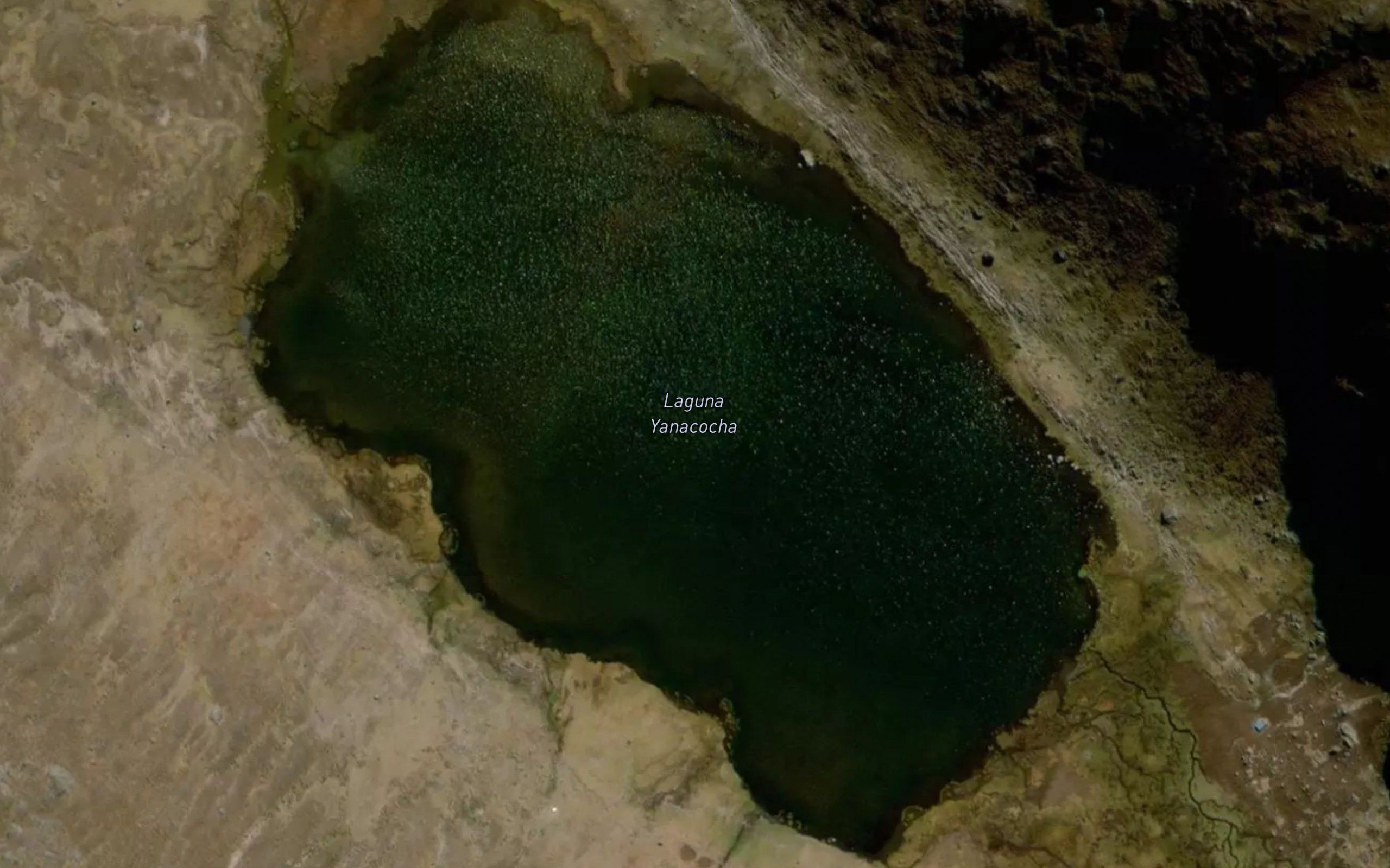Laguna Yanacocha