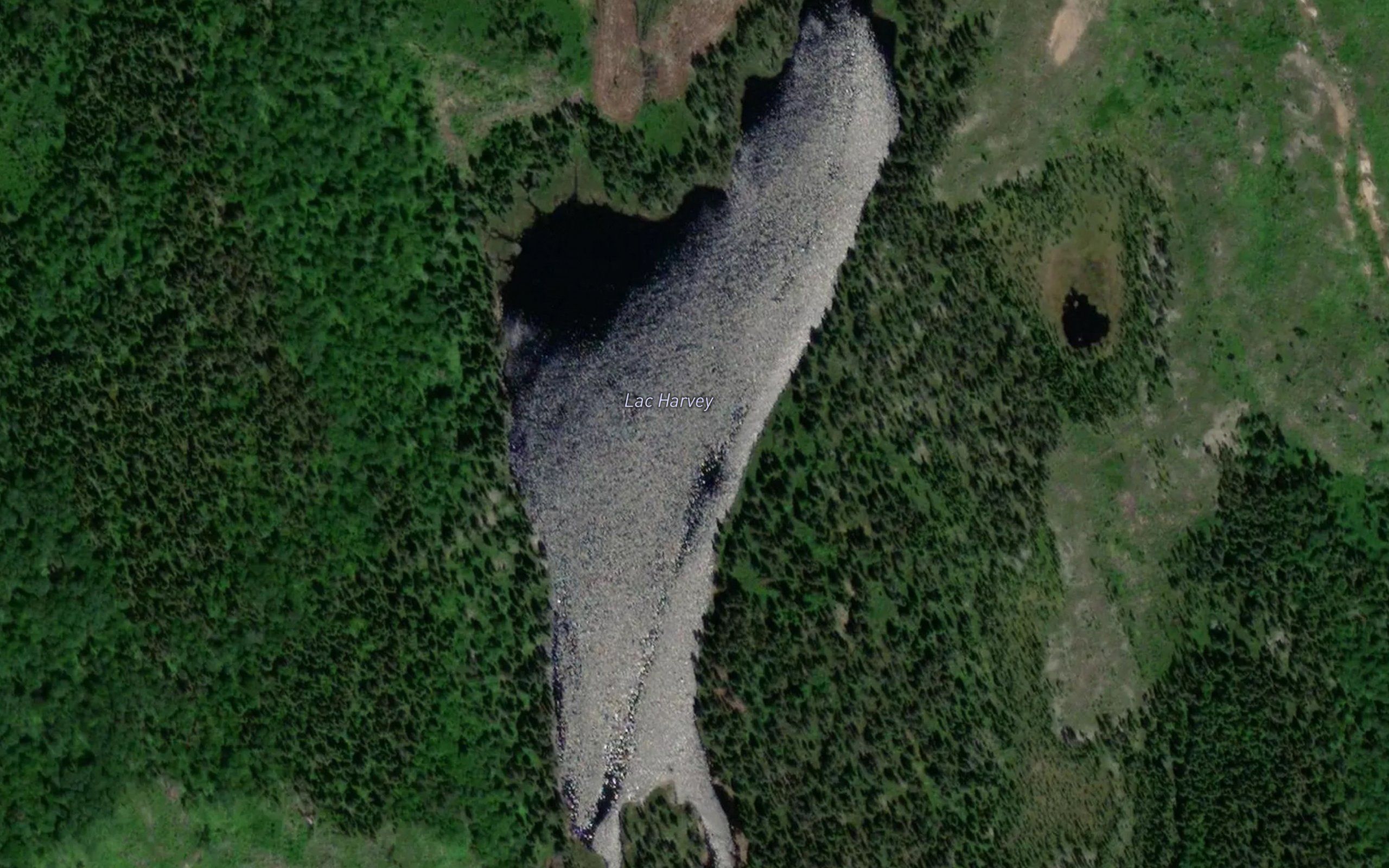 Lac Harvey