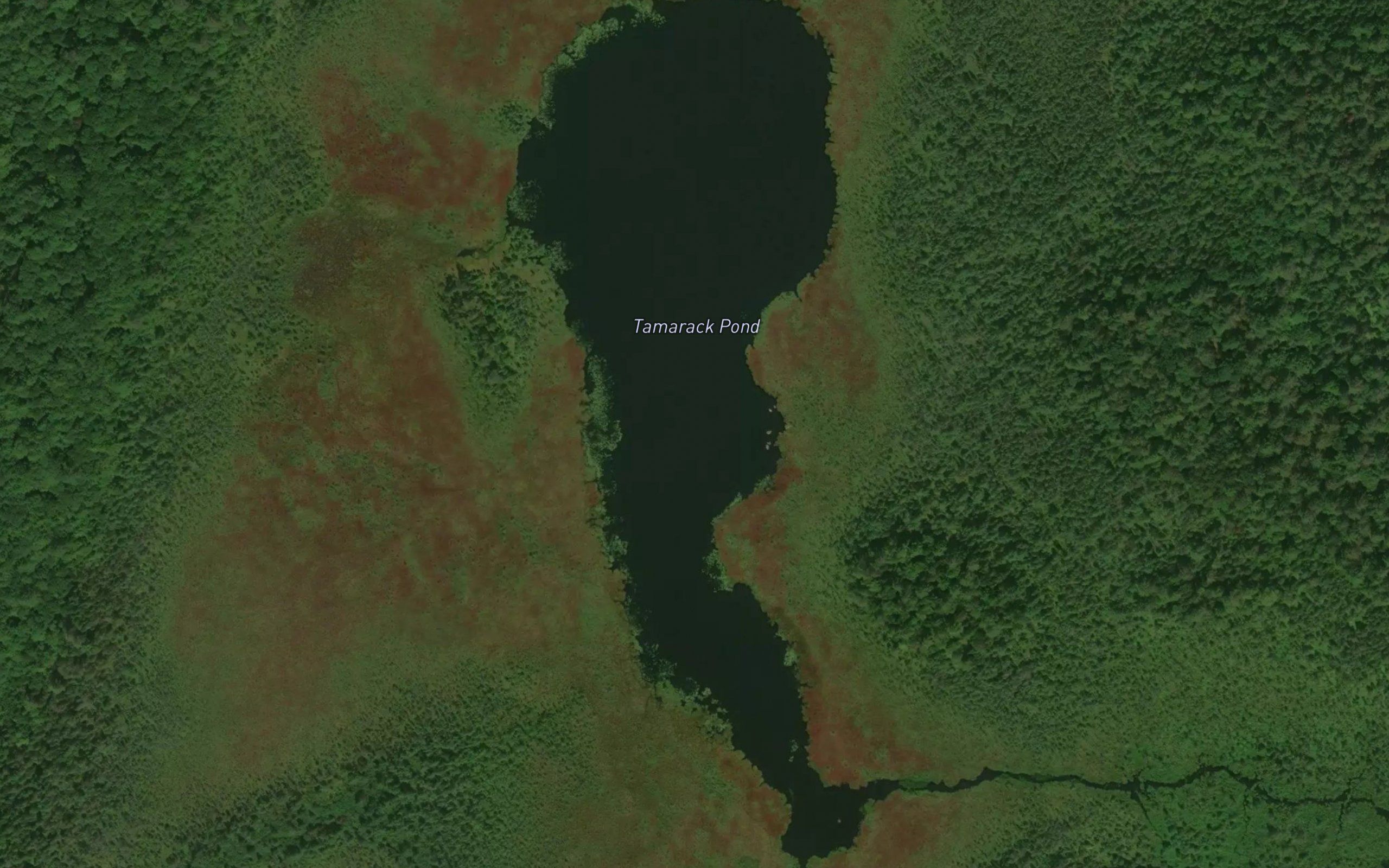Tamarack Pond