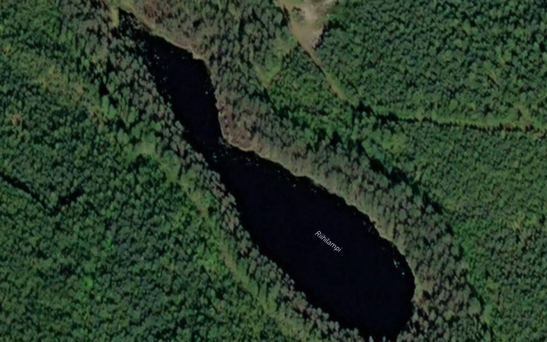 Satellite map of the Riihilampi