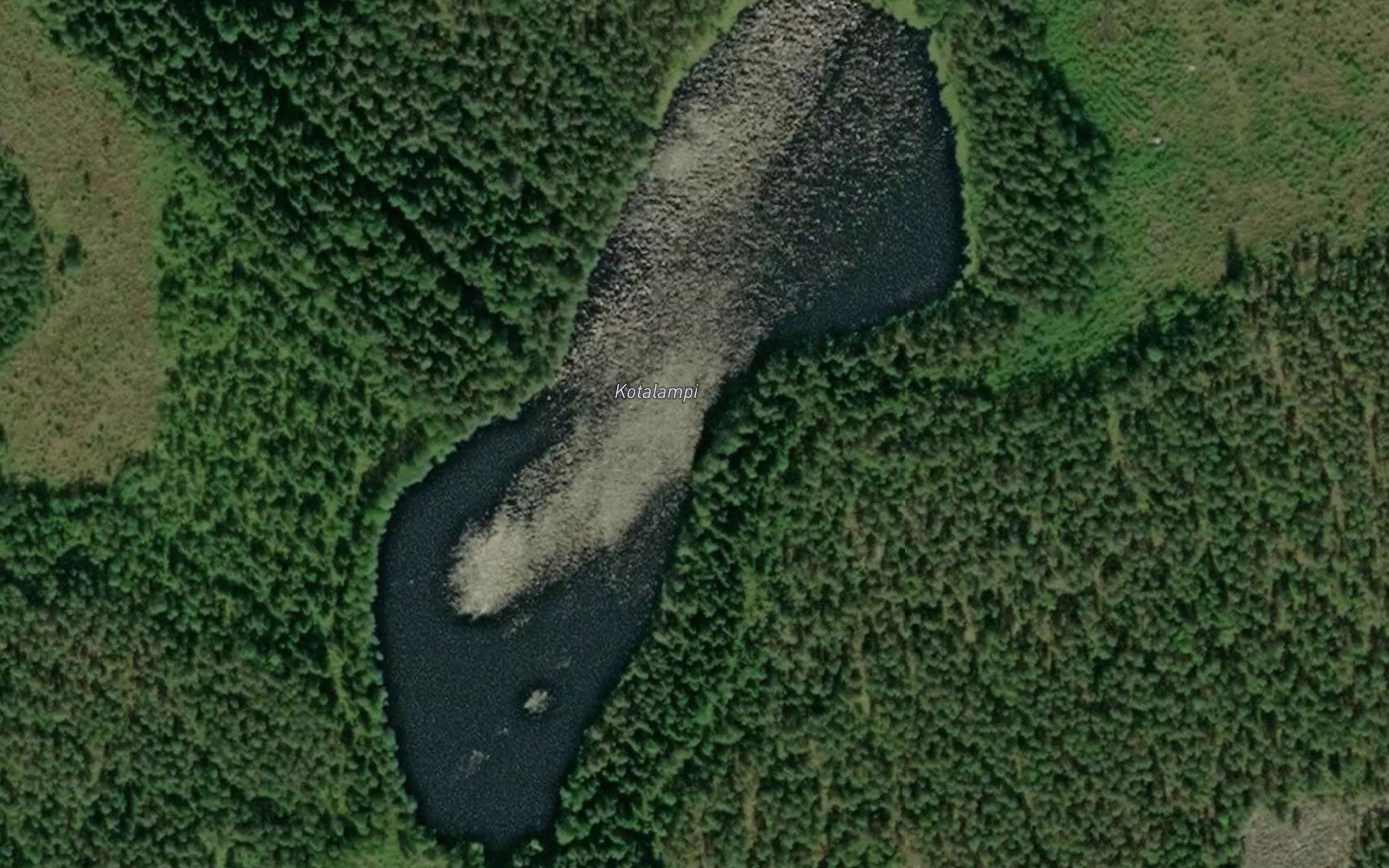 Kotalampi