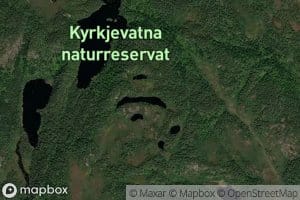 Lauvastjonn