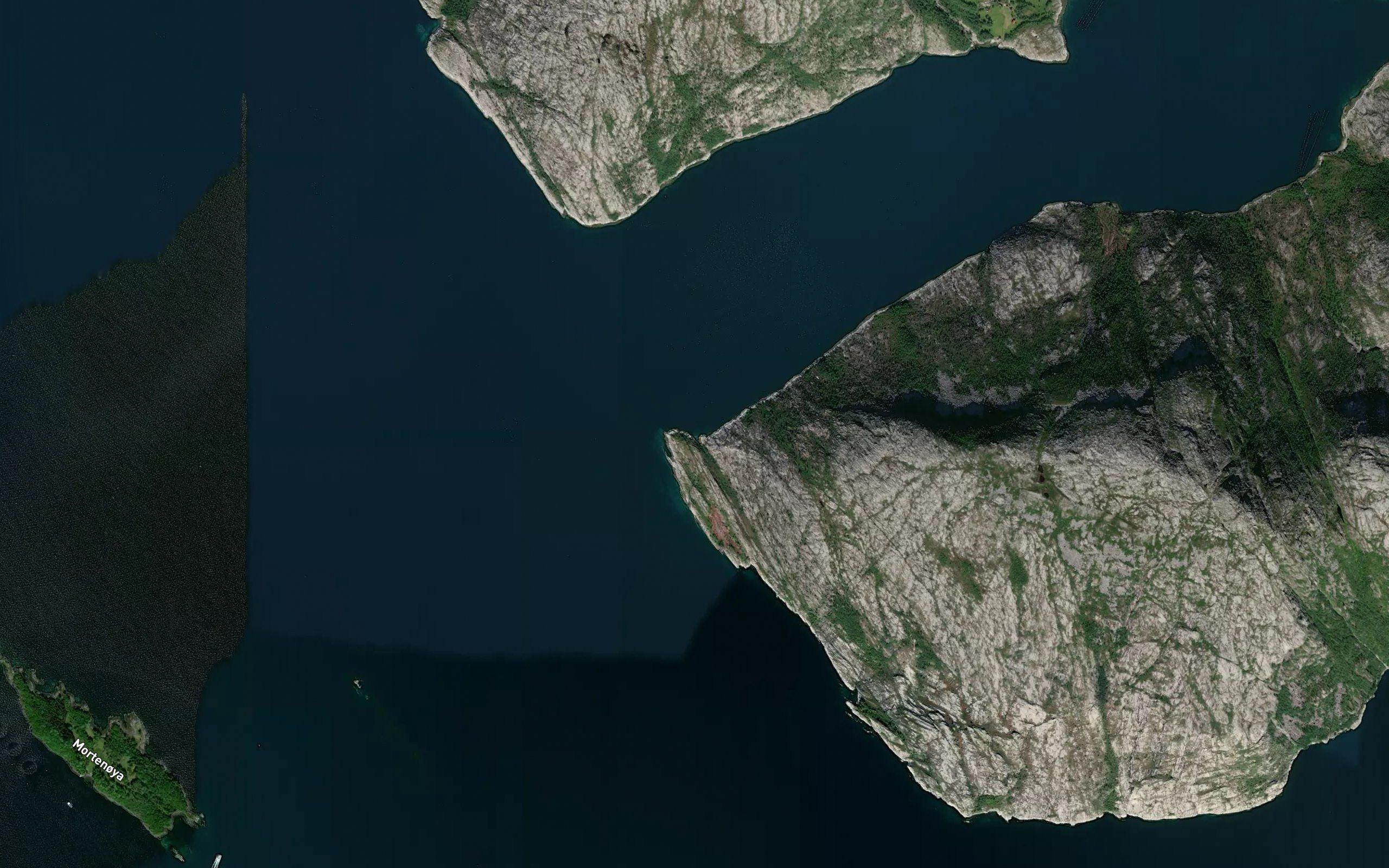 Otervika