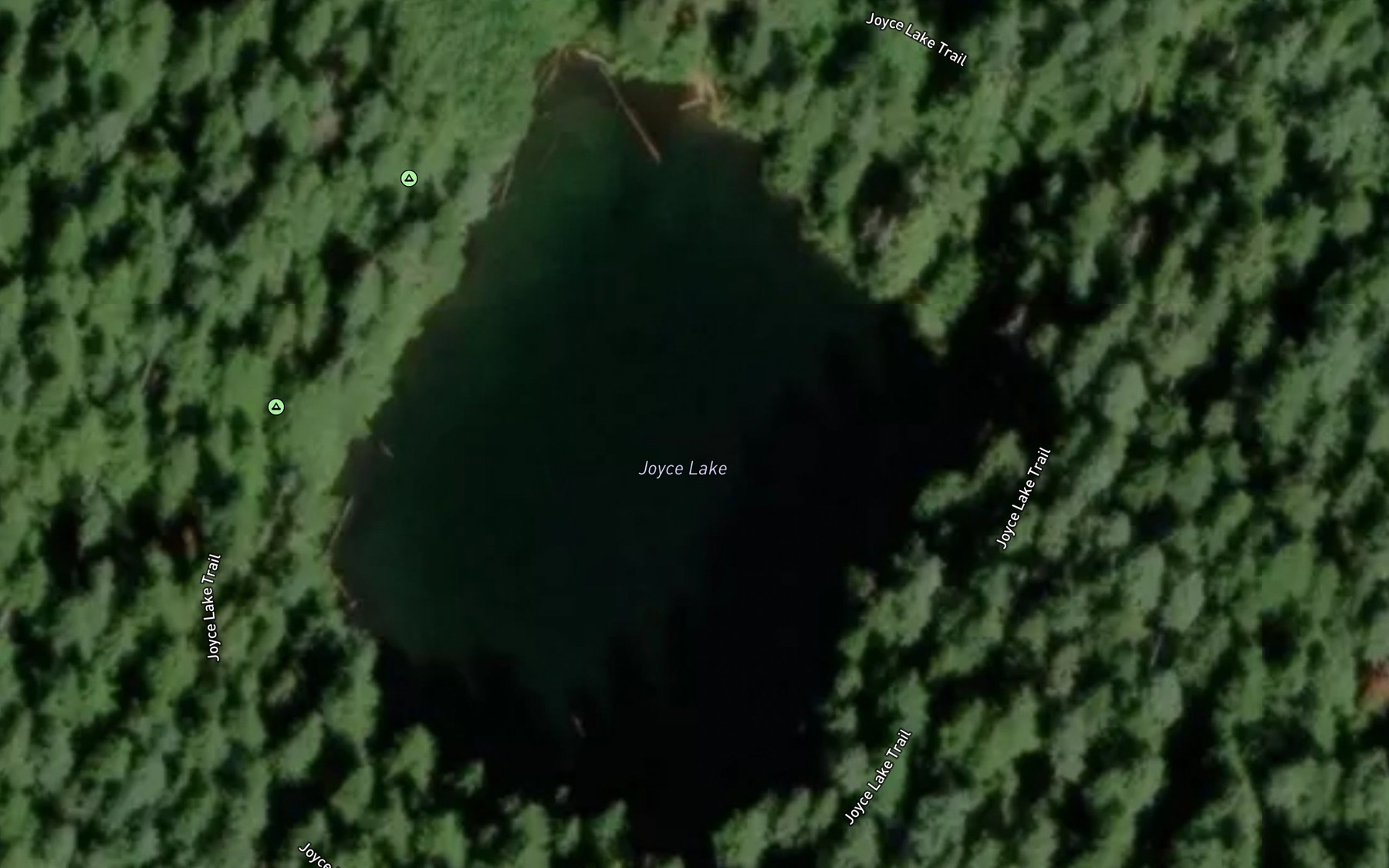 Satellite map of the Joyce Lake