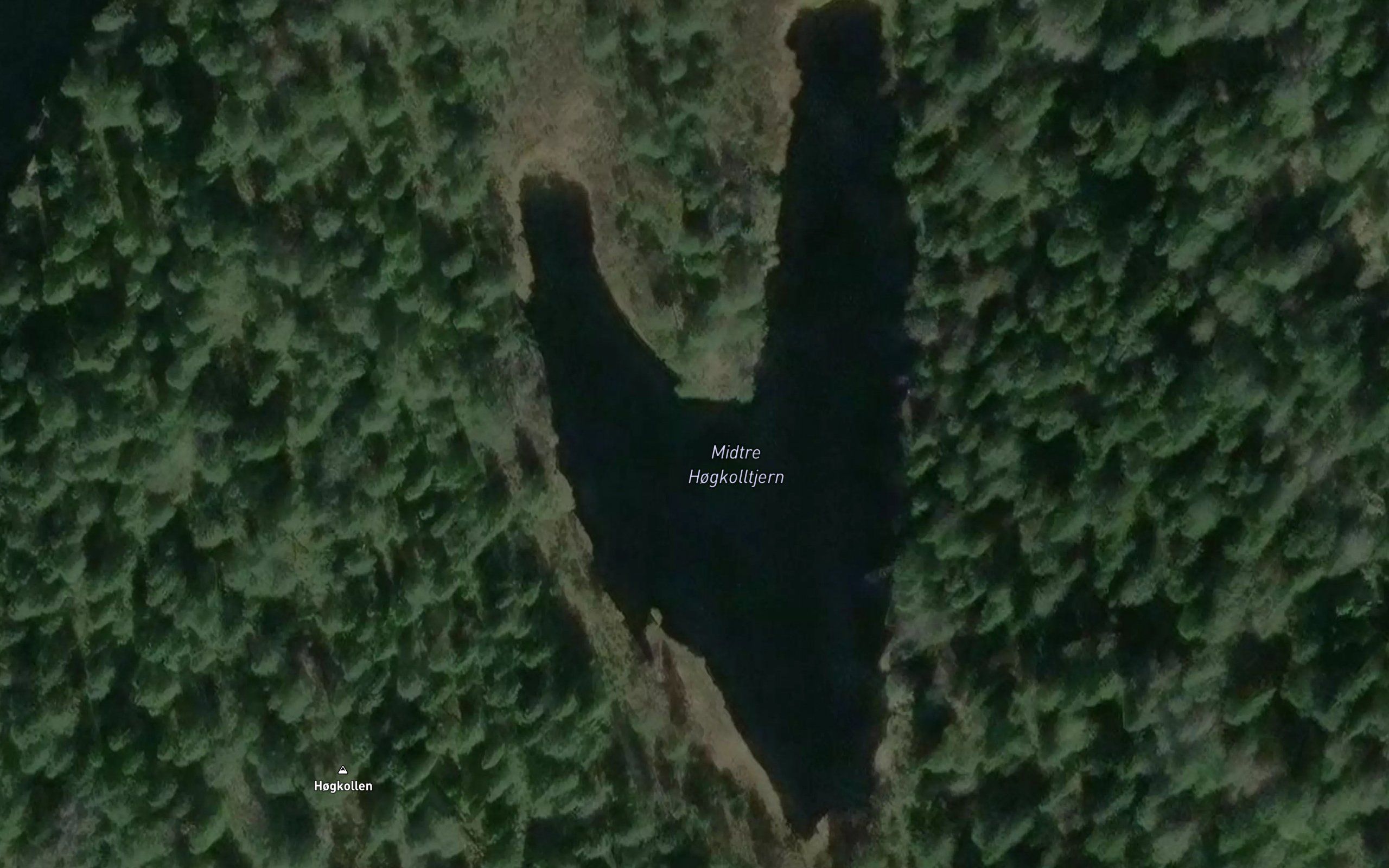 Midtre Hogkolltjern