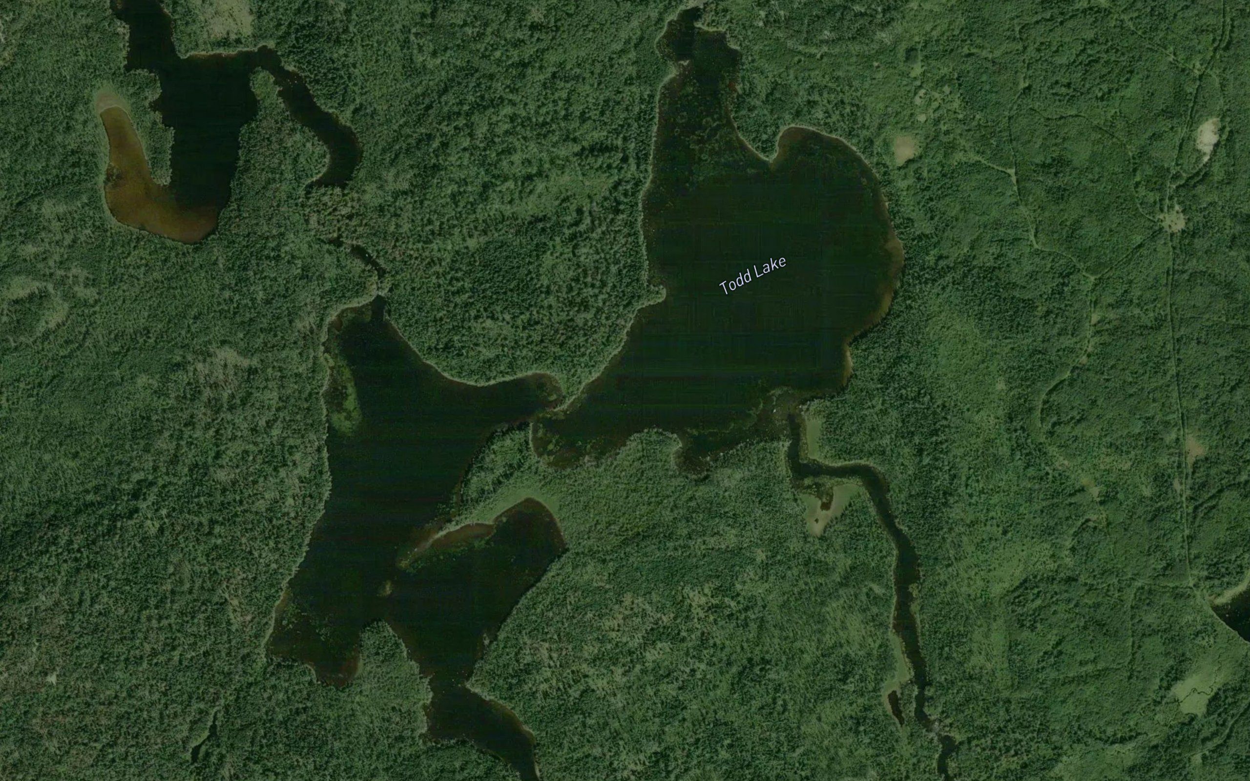 Todd Lake
