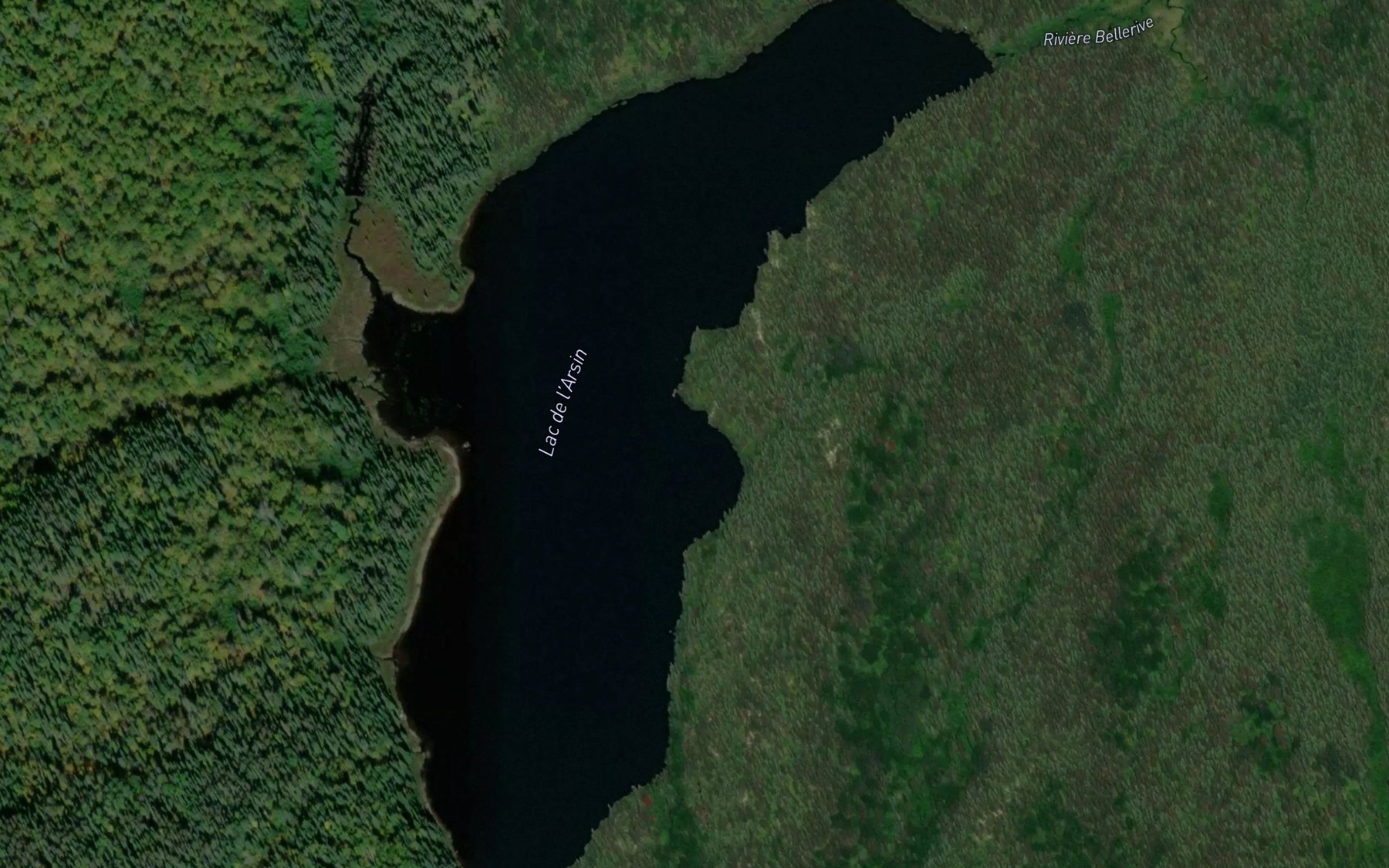 Satellite map of the Lac de l'Arsin