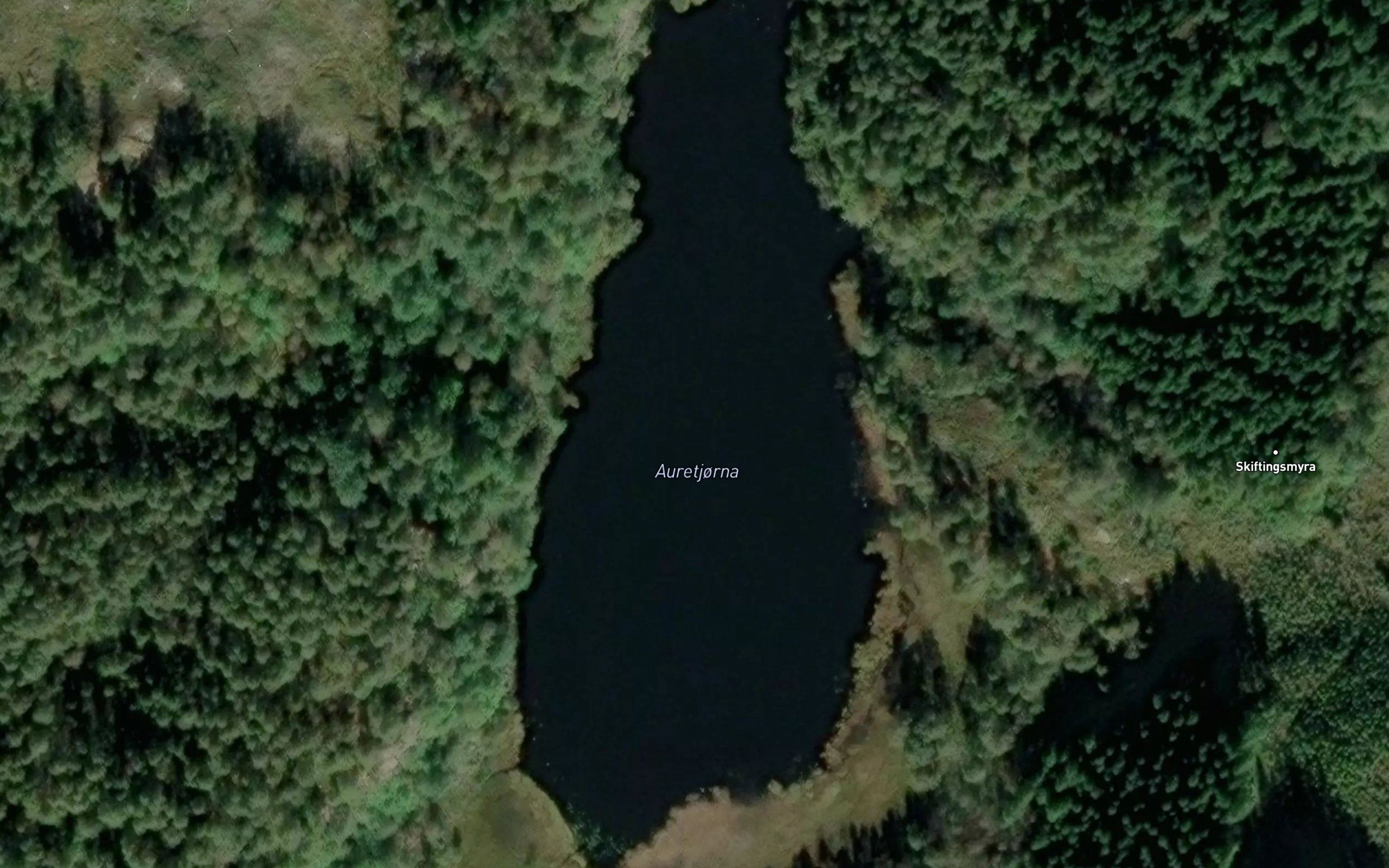 Auretjorna