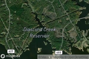 Timber Swamp