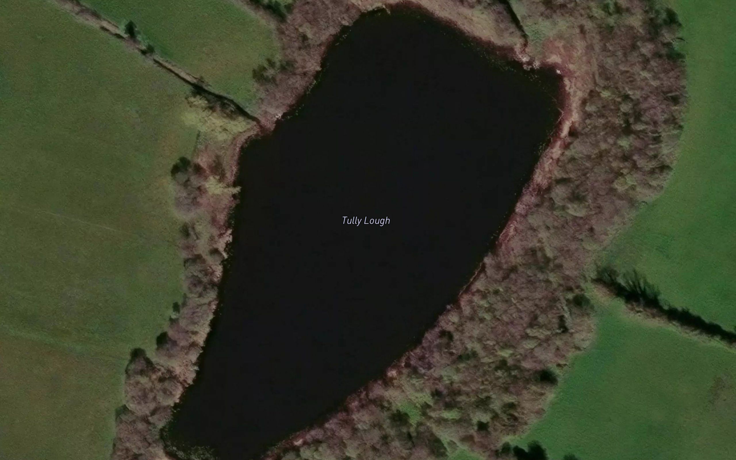 Tully Lough