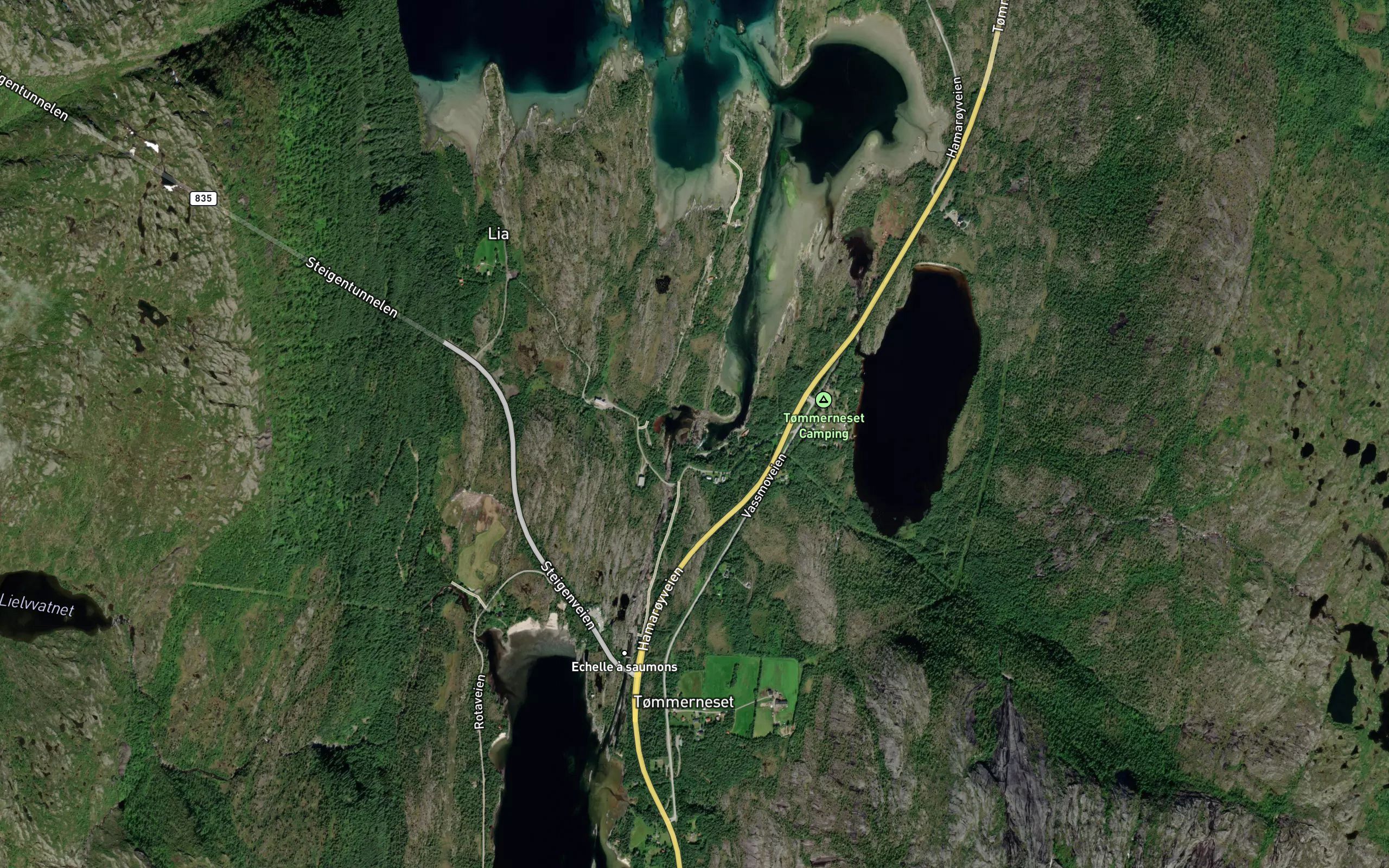 Sagforsen
