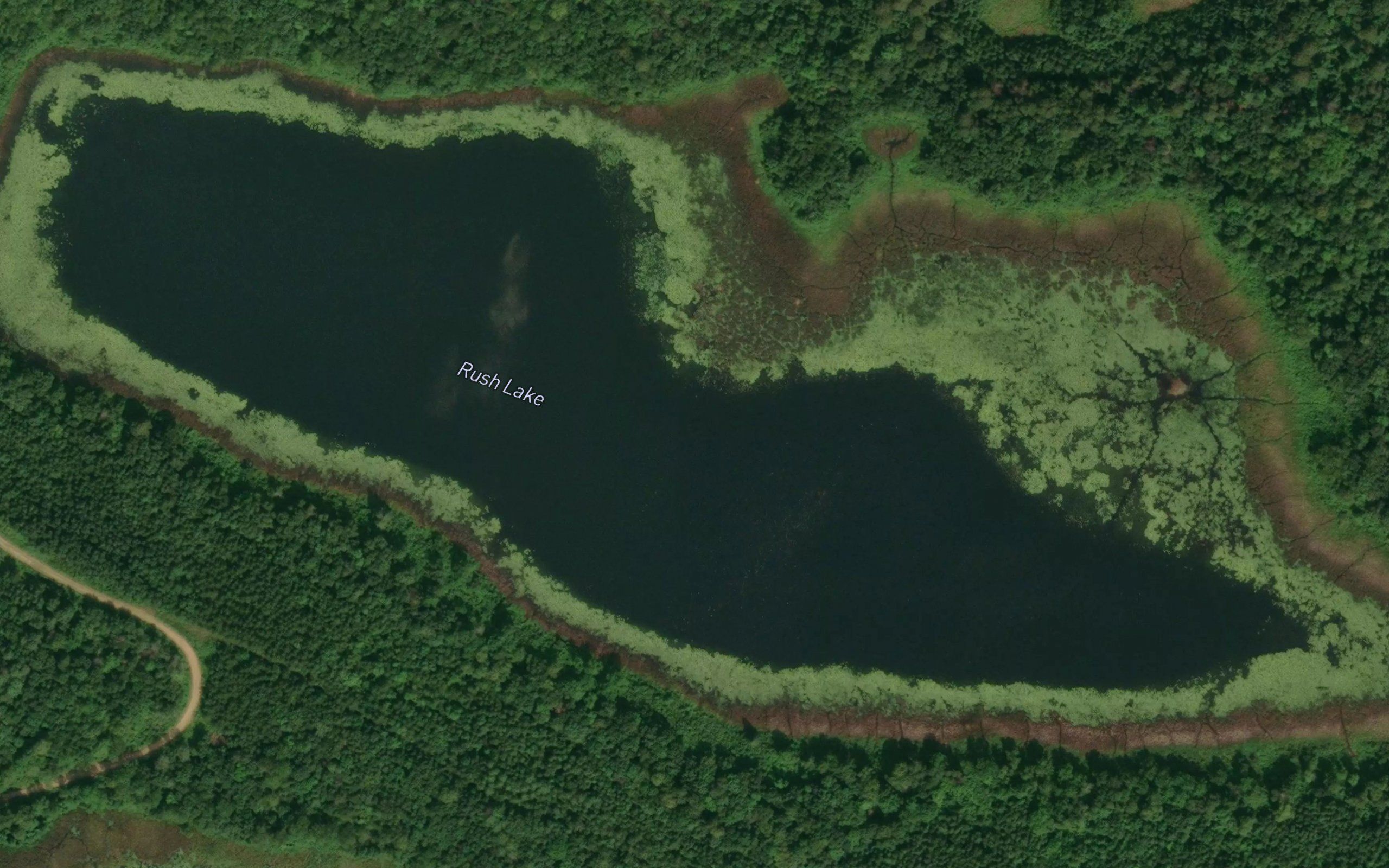 Rush Lake