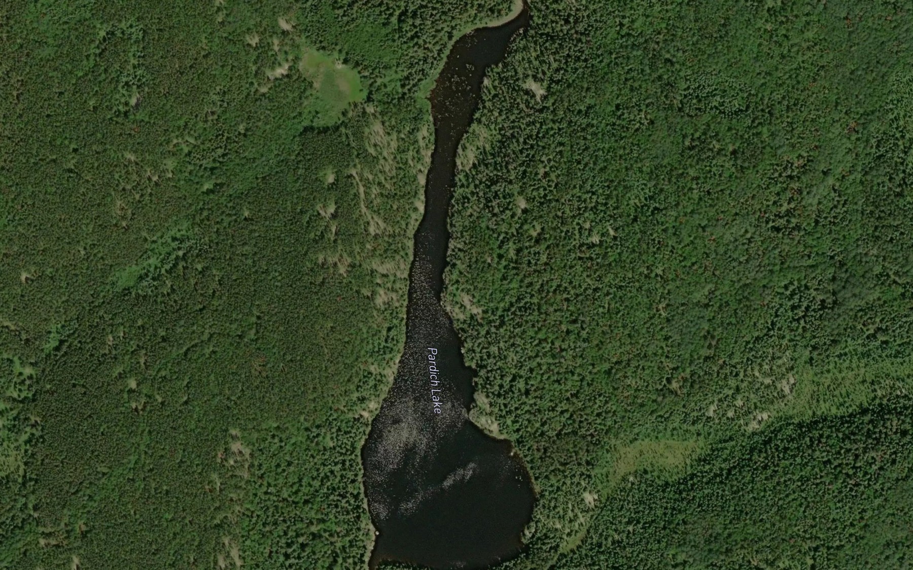 Satellite map of the Pardich Lake