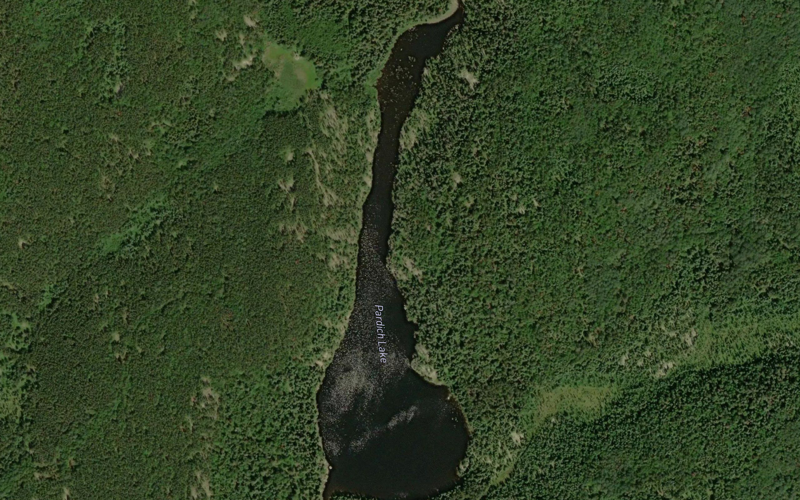Pardich Lake