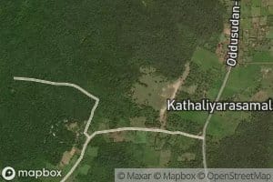 Panichchanmurippu Kulam