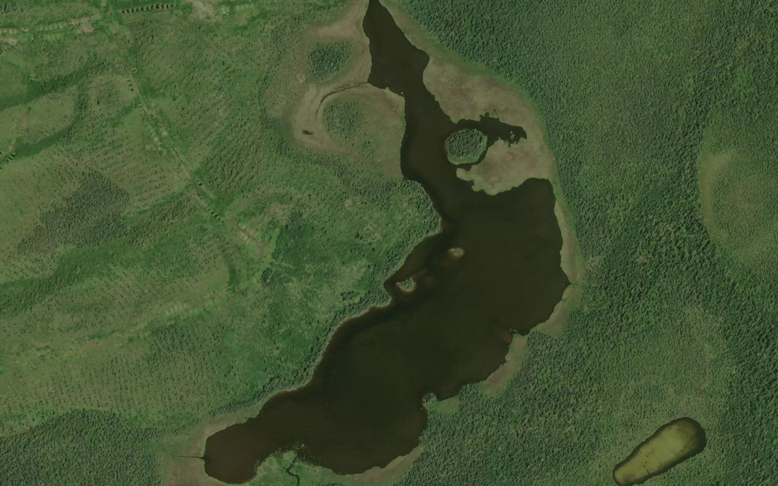 This Lake