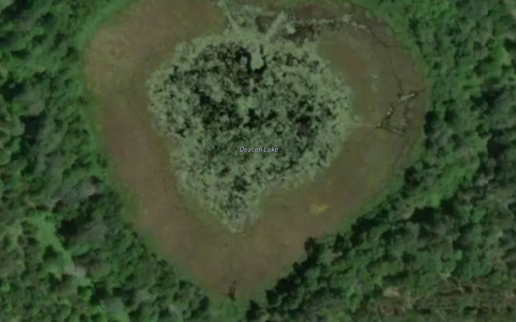 Satellite map of the Deacon Lake