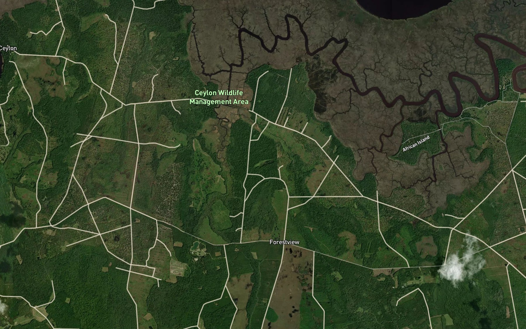 Satellite map of the Ocean Pond