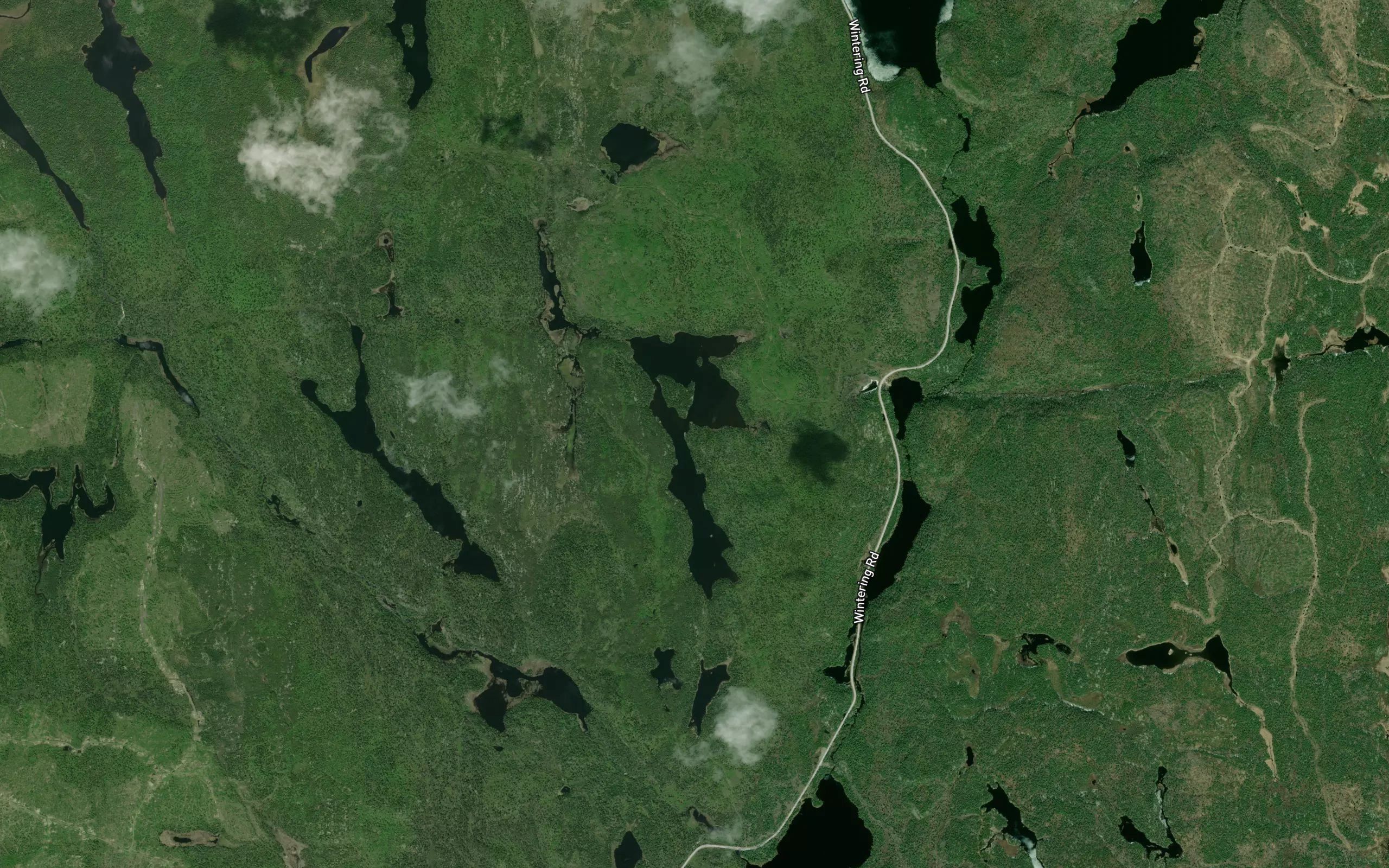 Loon Lake