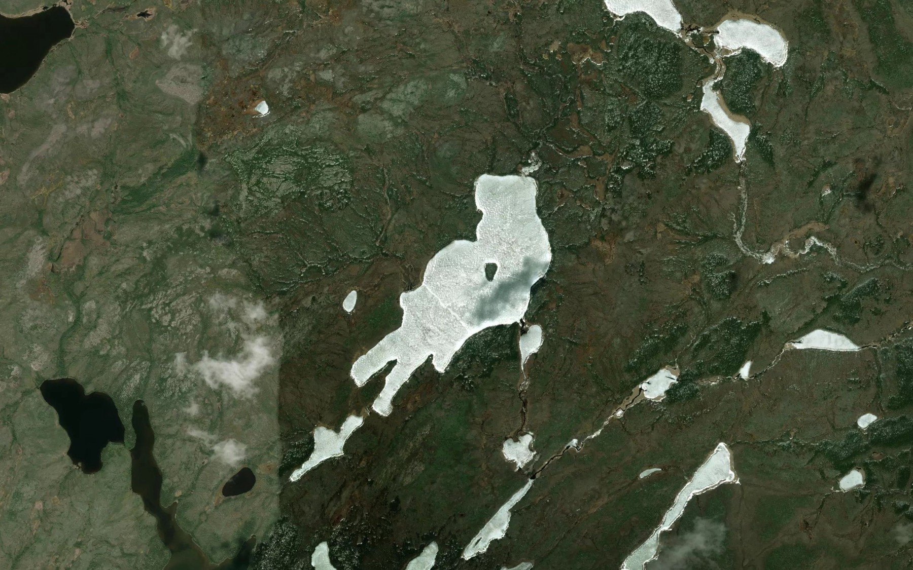 Satellite map of the Neal Lake