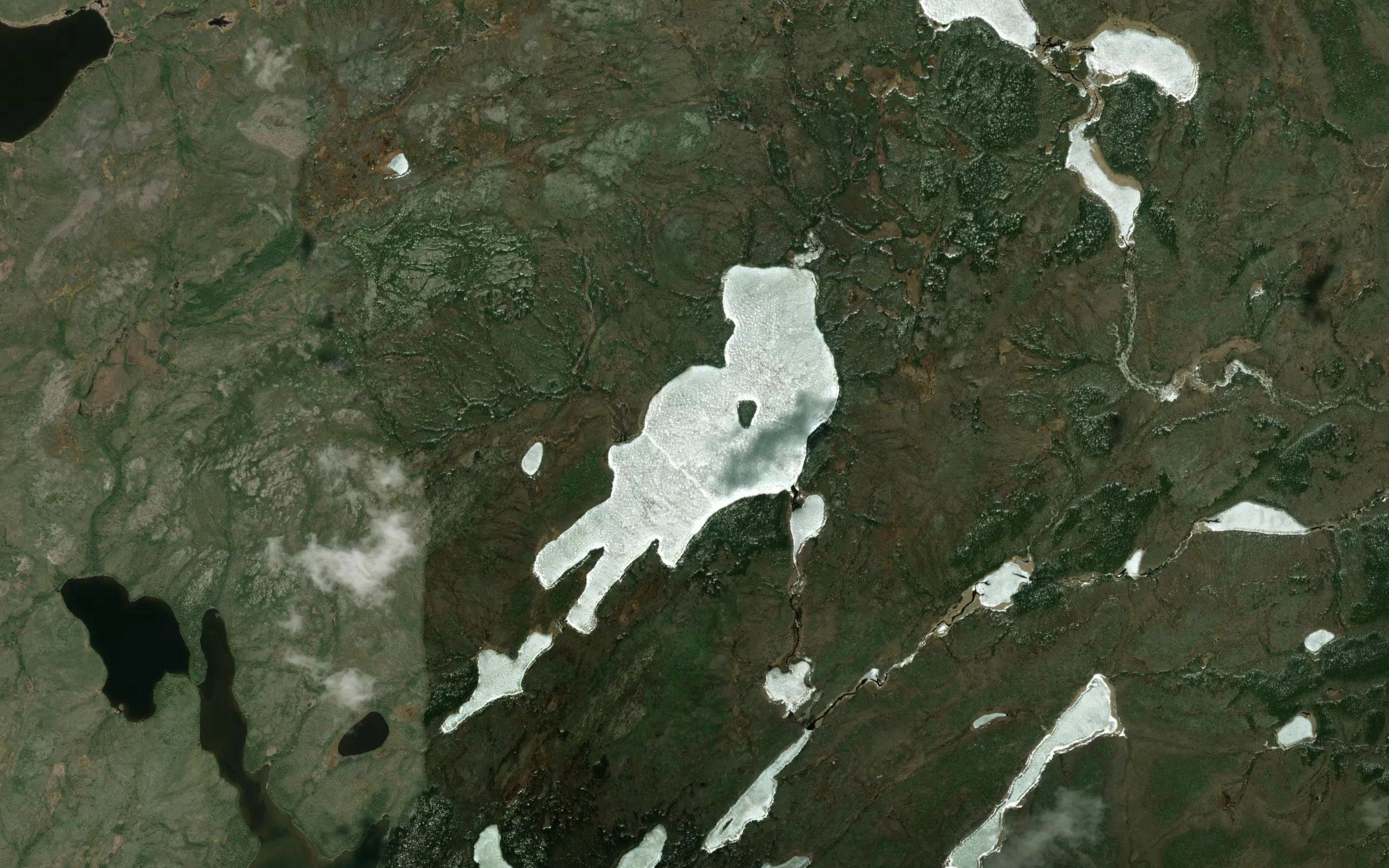 Neal Lake