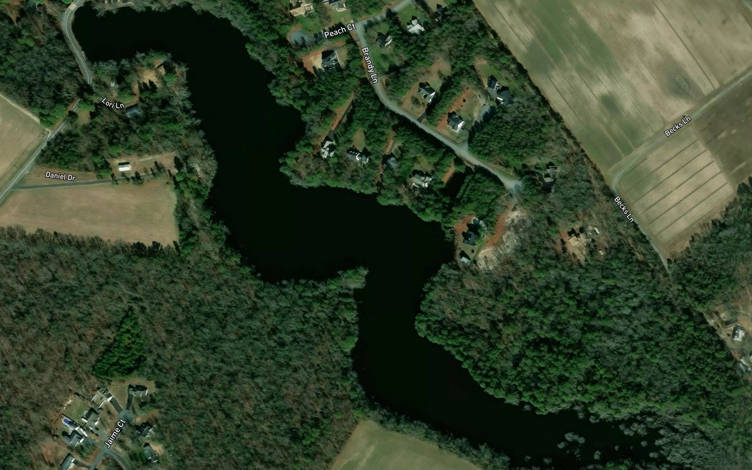 Fleetwood Pond