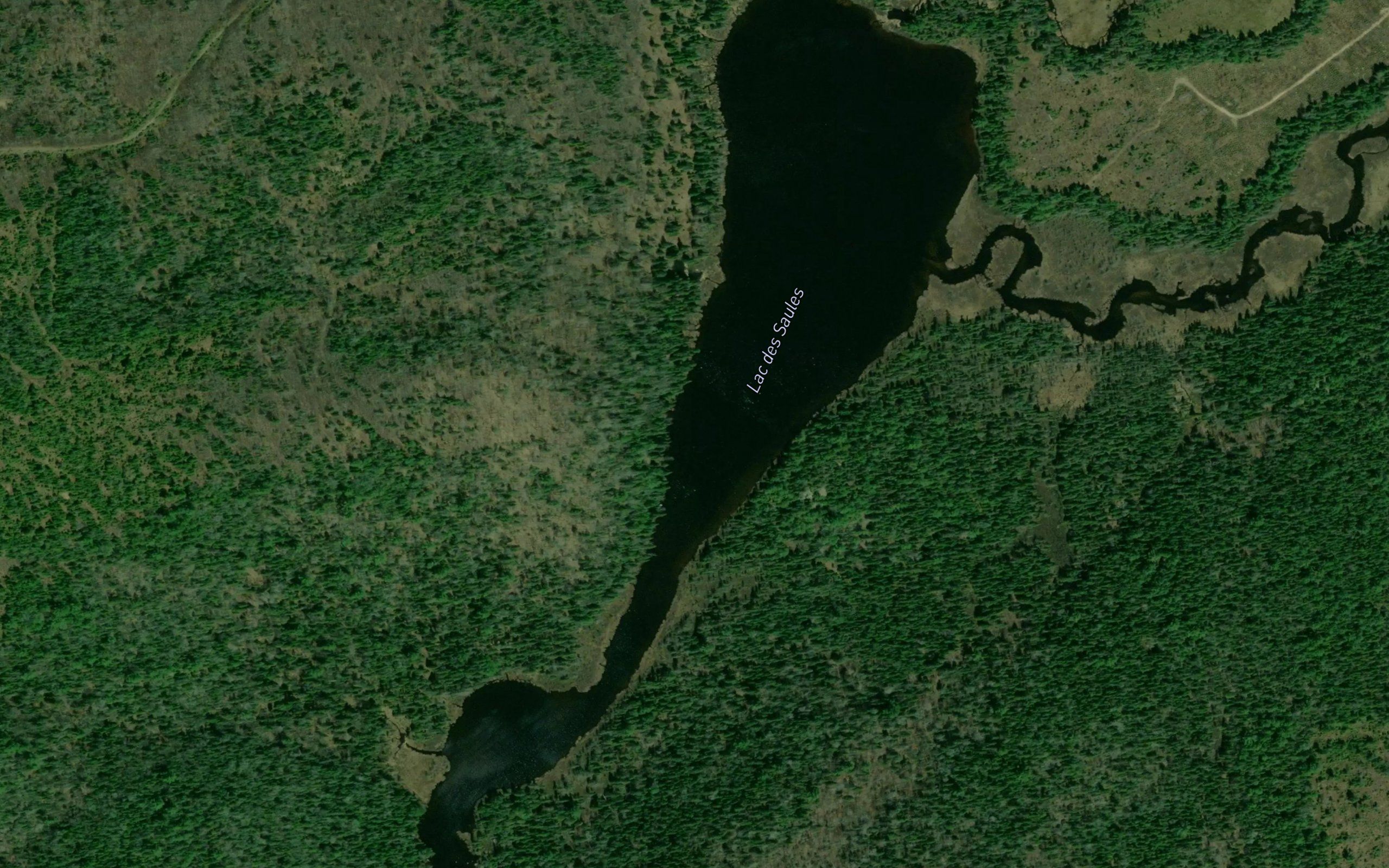 Lac des Saules