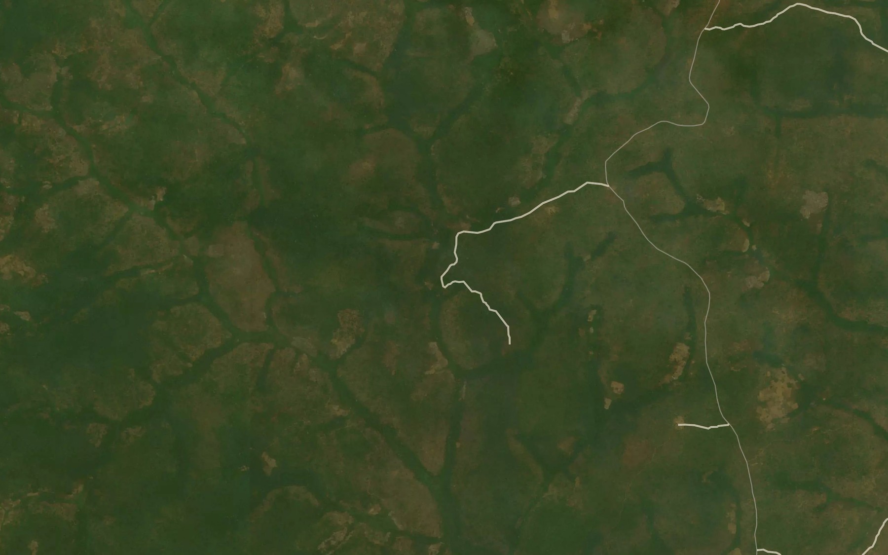 Satellite map of the Ngoko