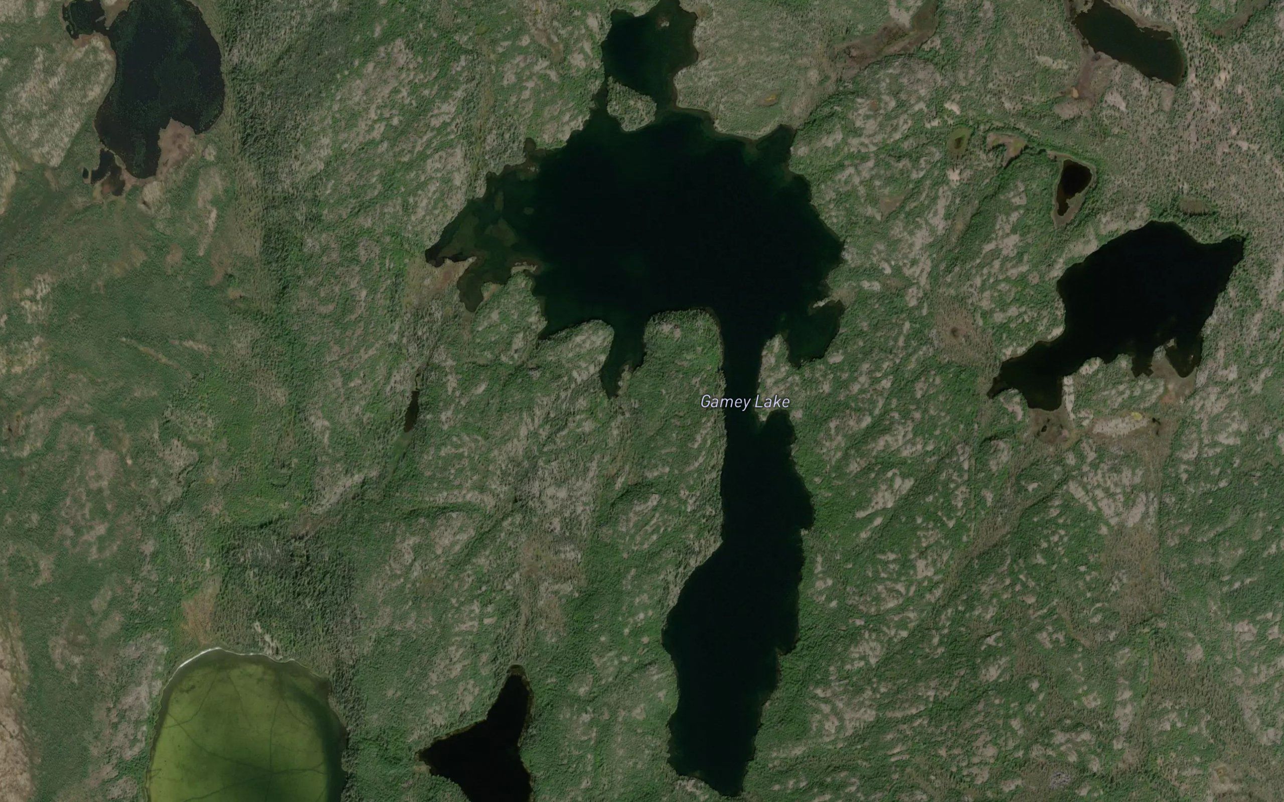 Gamey Lake