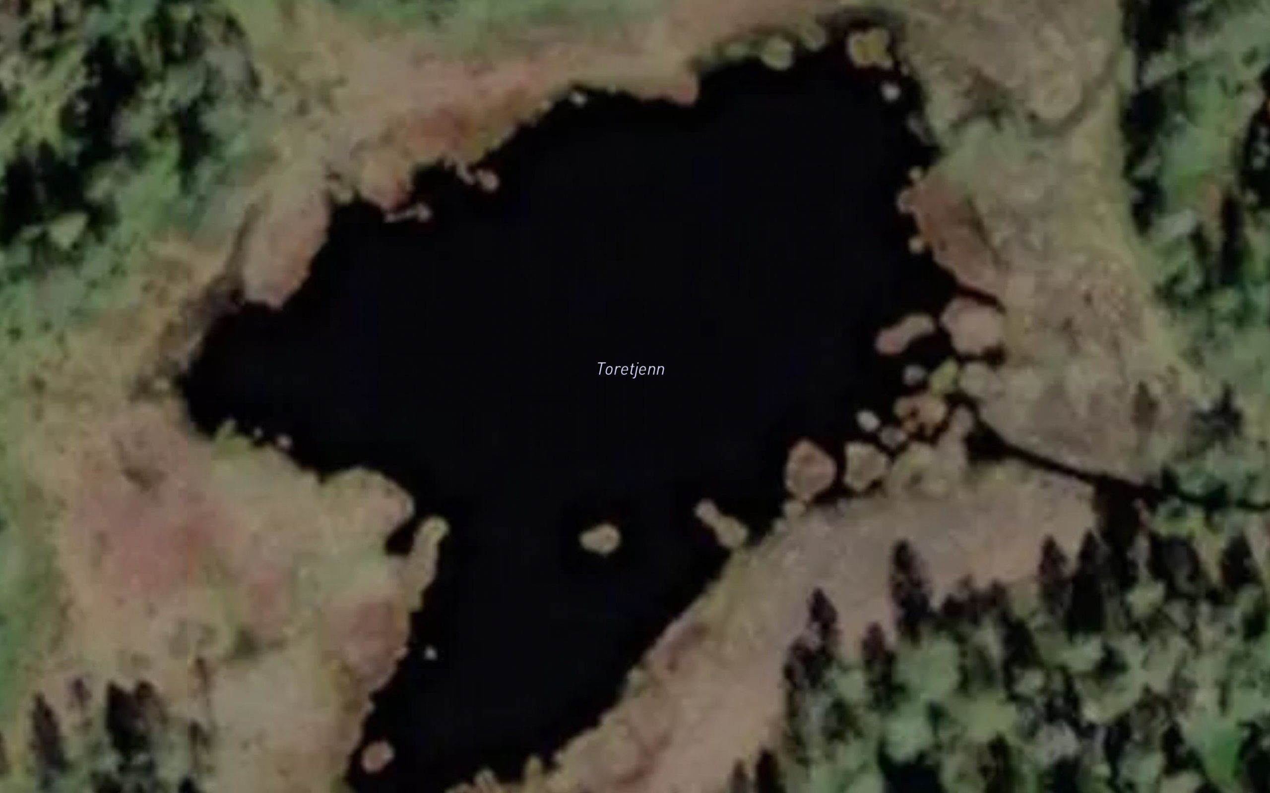Toretjenn
