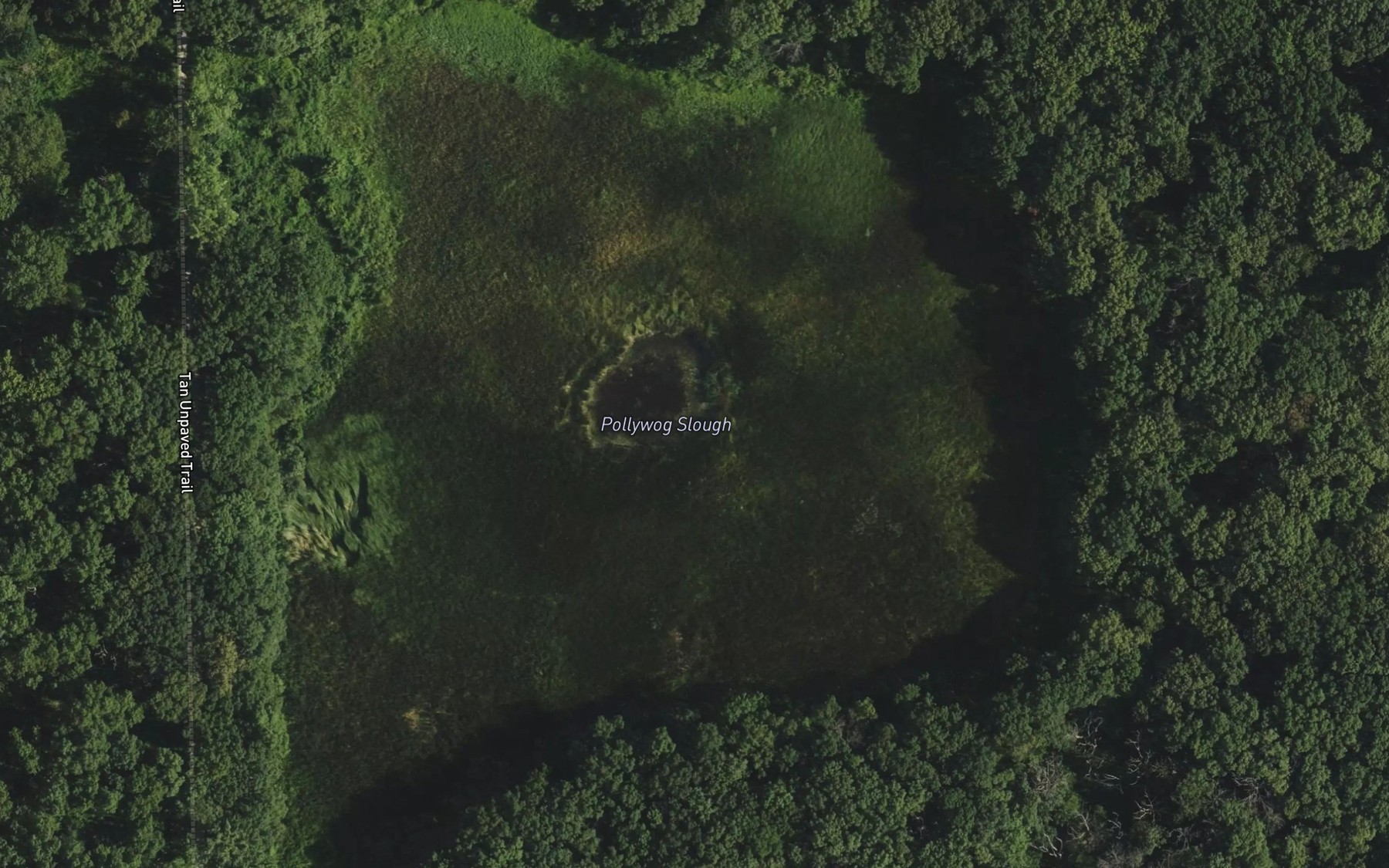 Satellite map of the Pollywog Slough