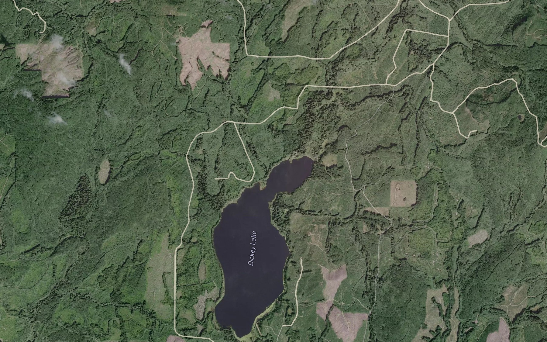 Satellite map of the Stampede Creek
