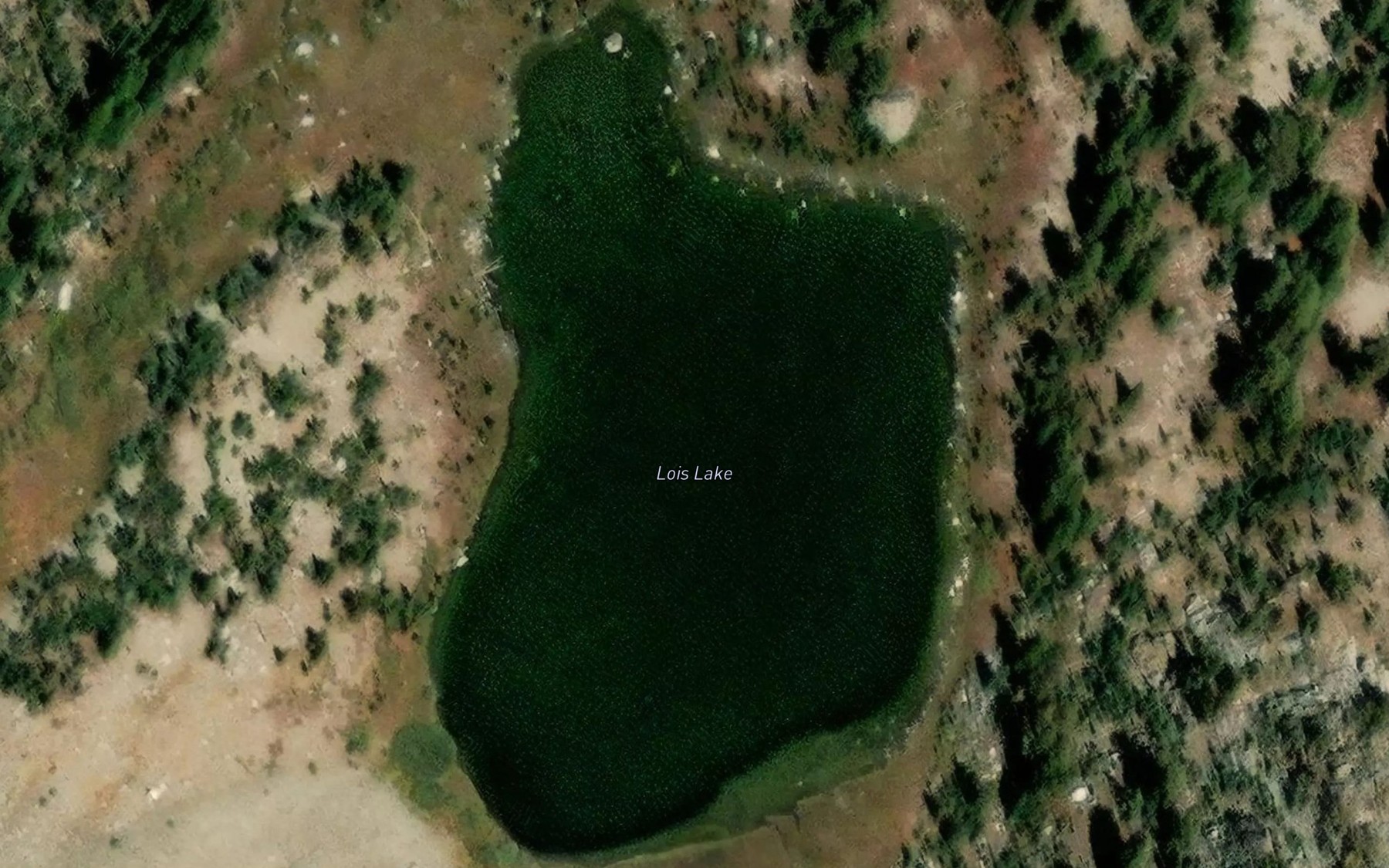 Satellite map of the Lost Lake