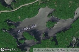 Martin Lake