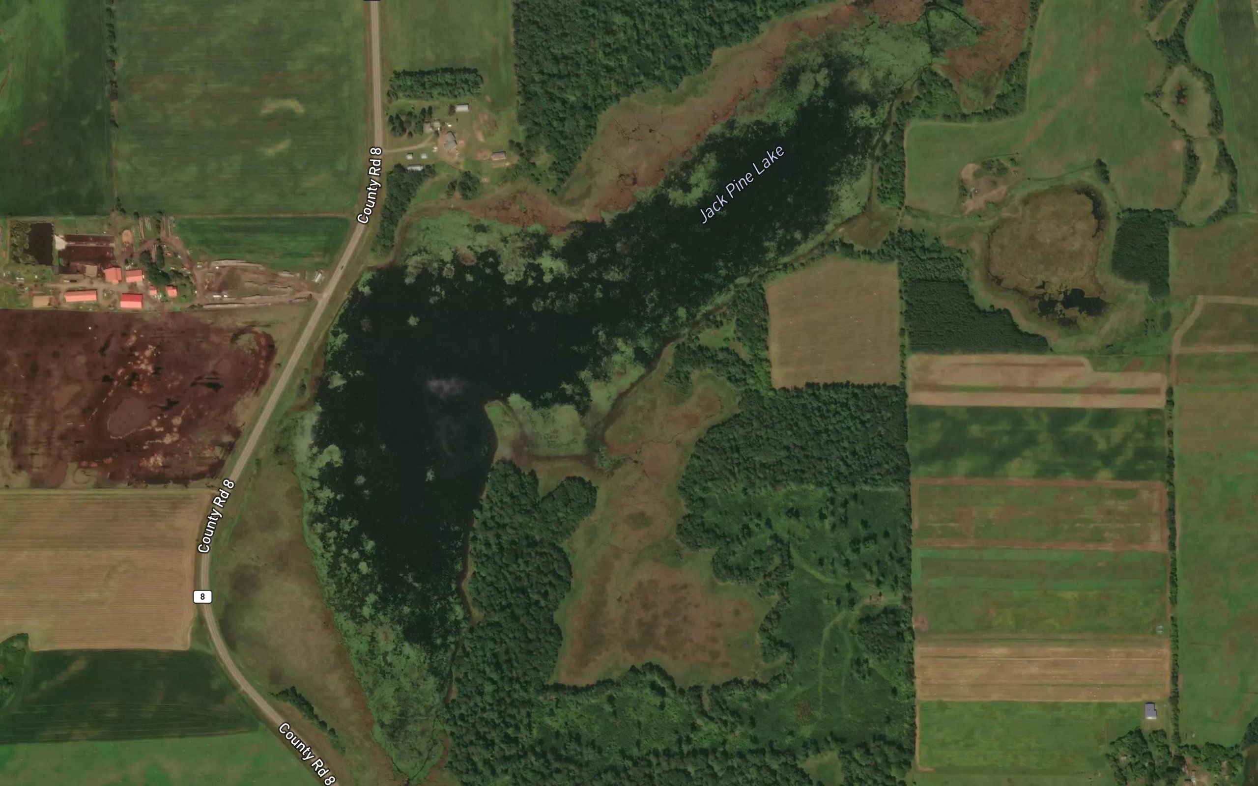Jack Pine Lake