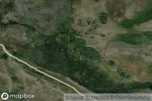 Timber Ditch
