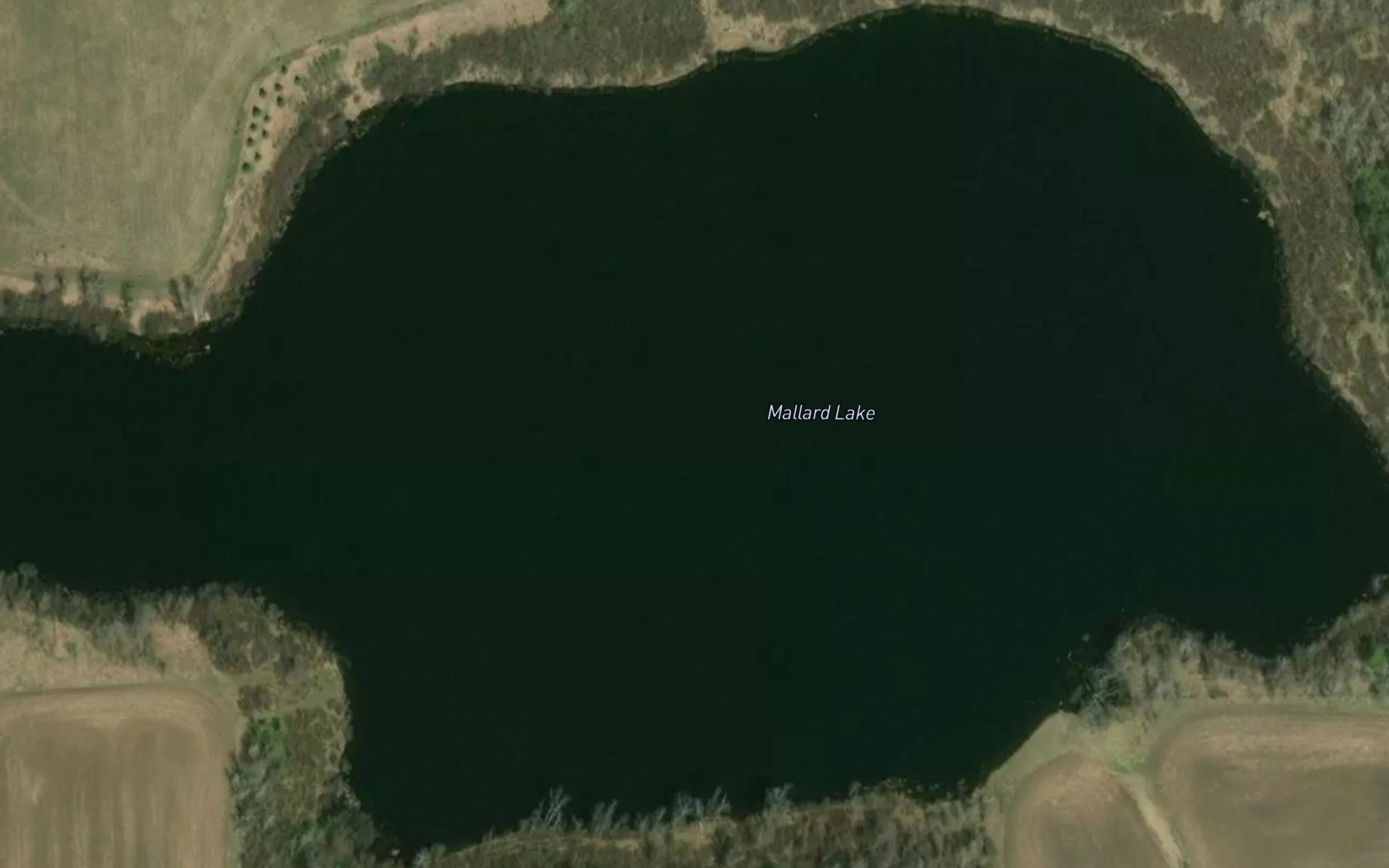 Mallard Lake