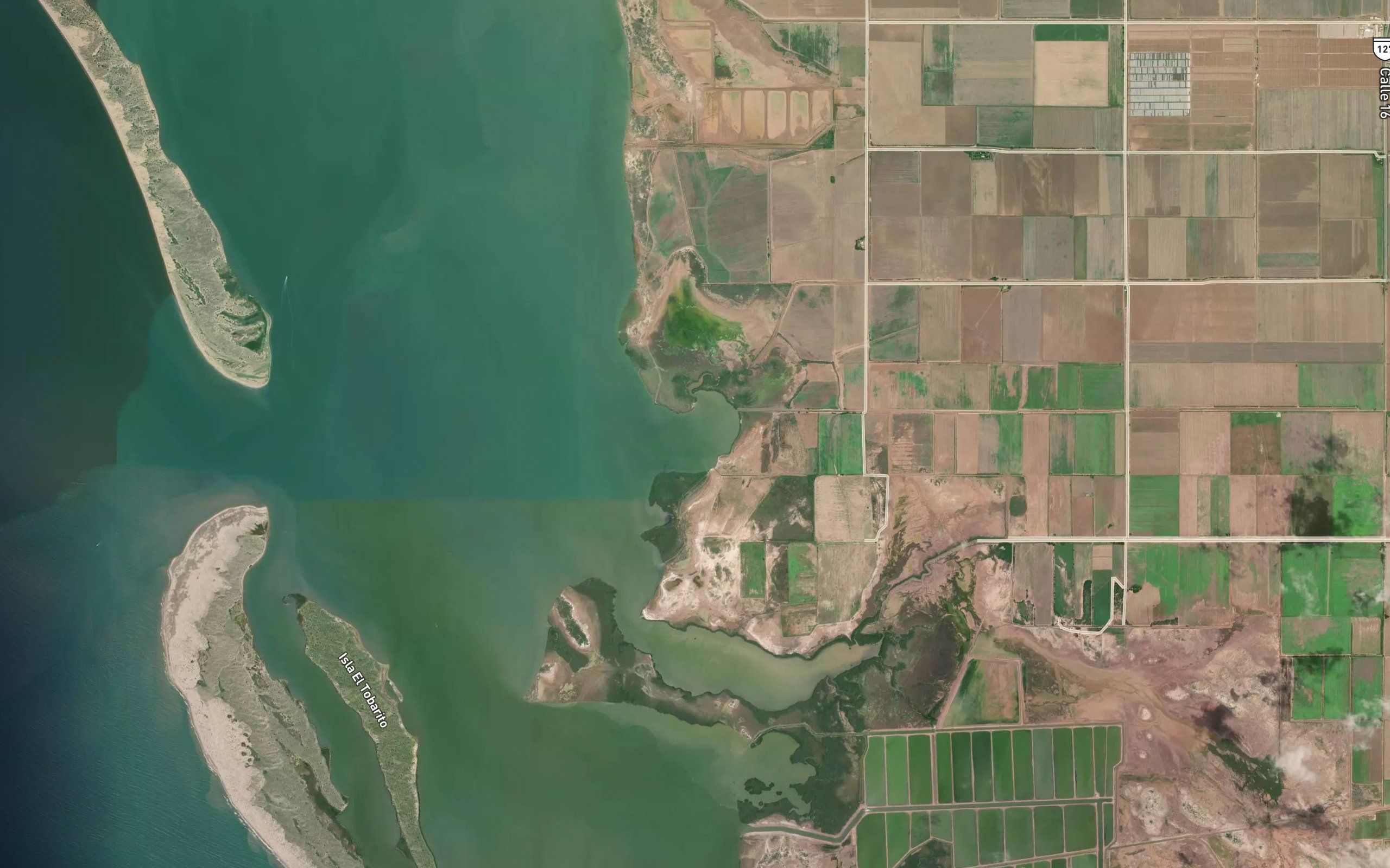 Ensenada el Gallo