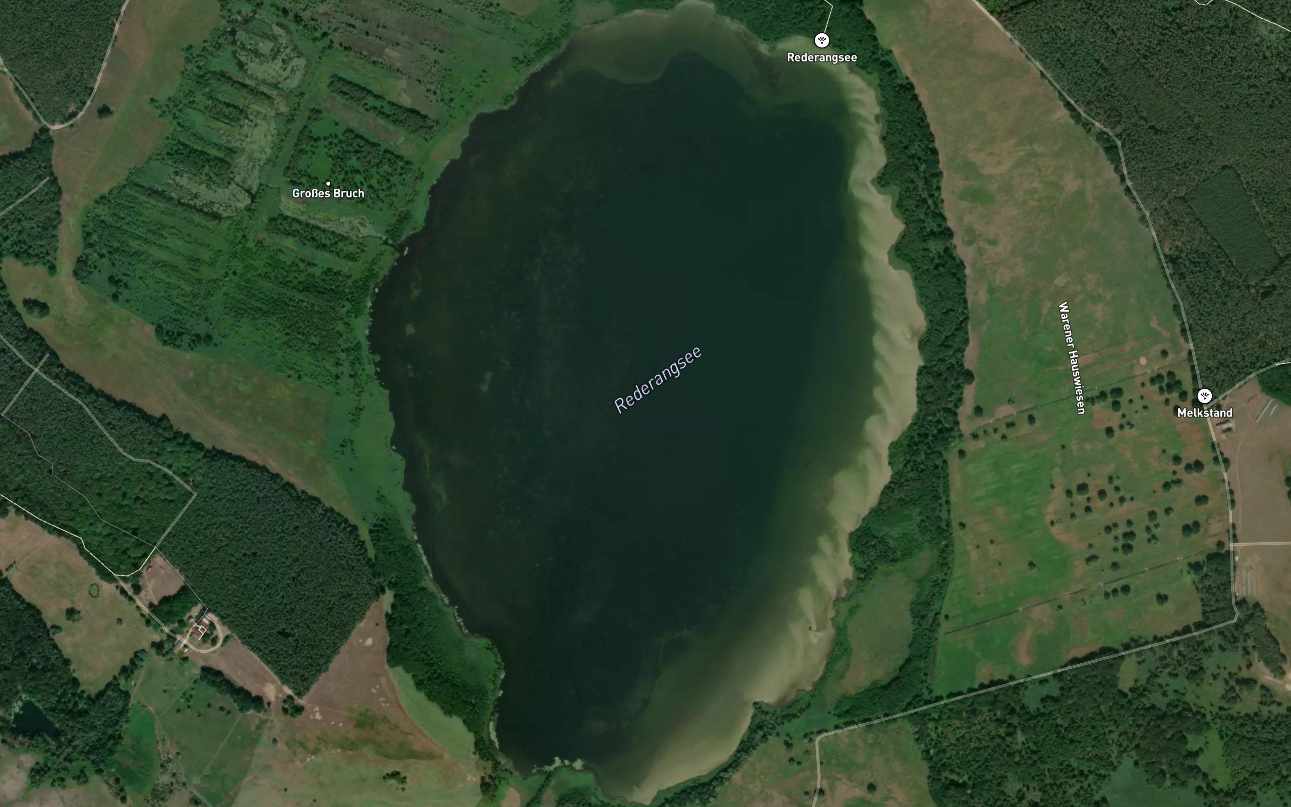 Rederangsee