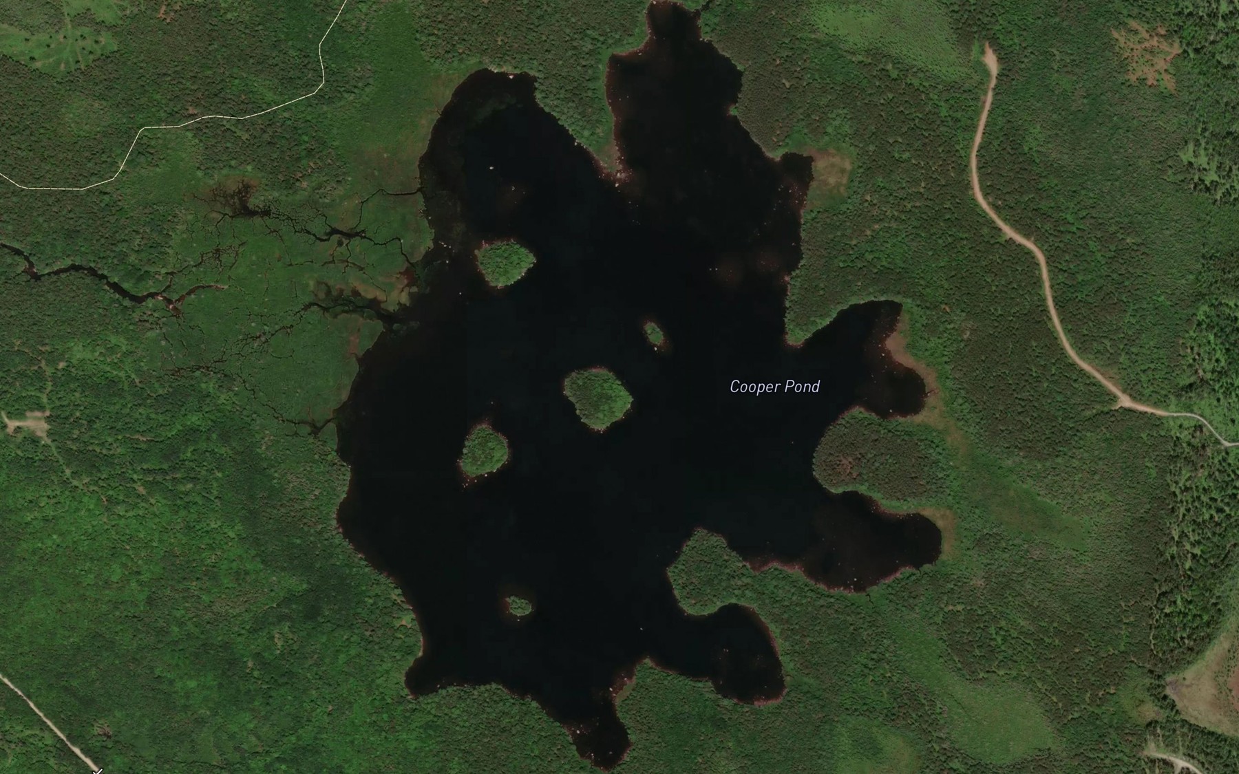 Satellite map of the Cooper Pond
