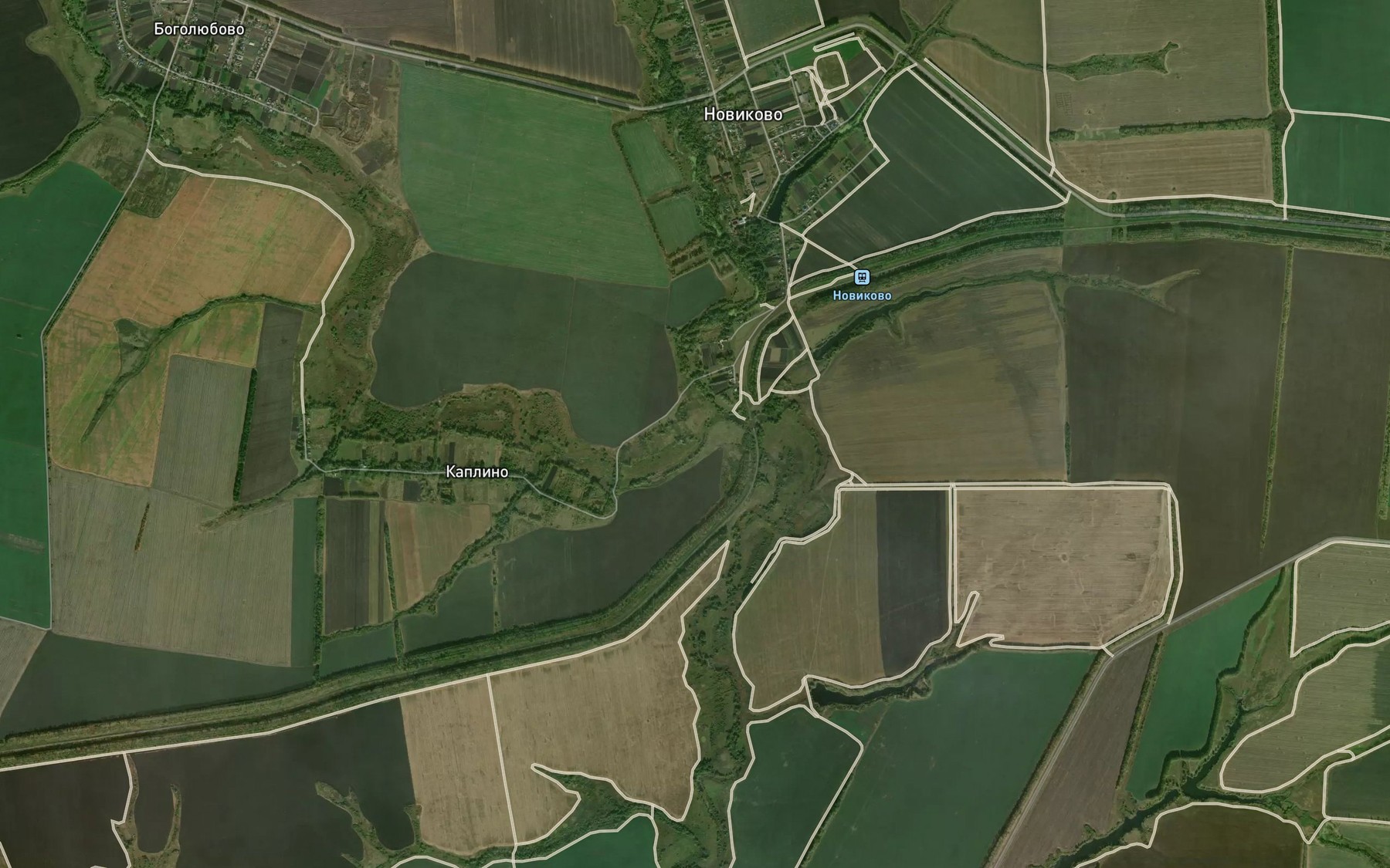 Satellite map of the Bol'shaya Vishnevka