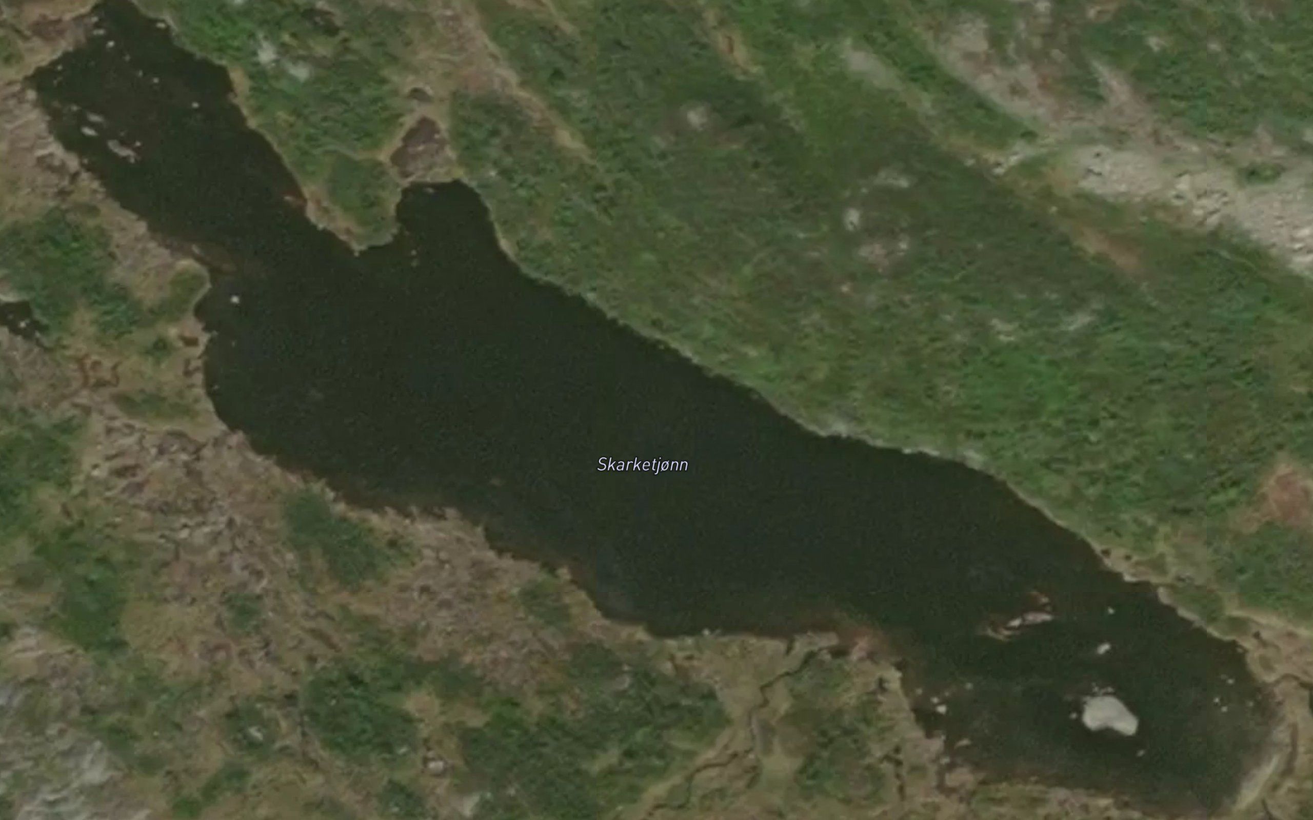 Skarketjonn