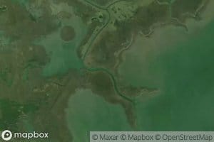 Swanson Bayou